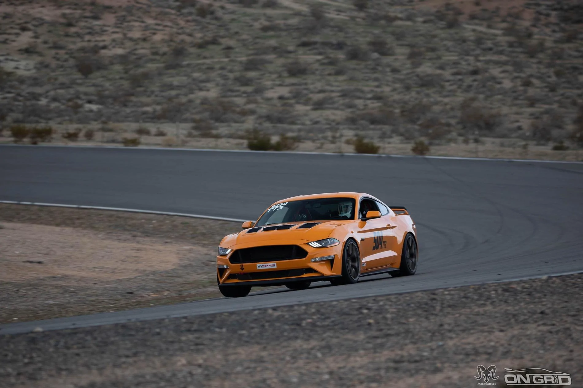 Ford F-150 What does your fun haver look like ? CWW_0995