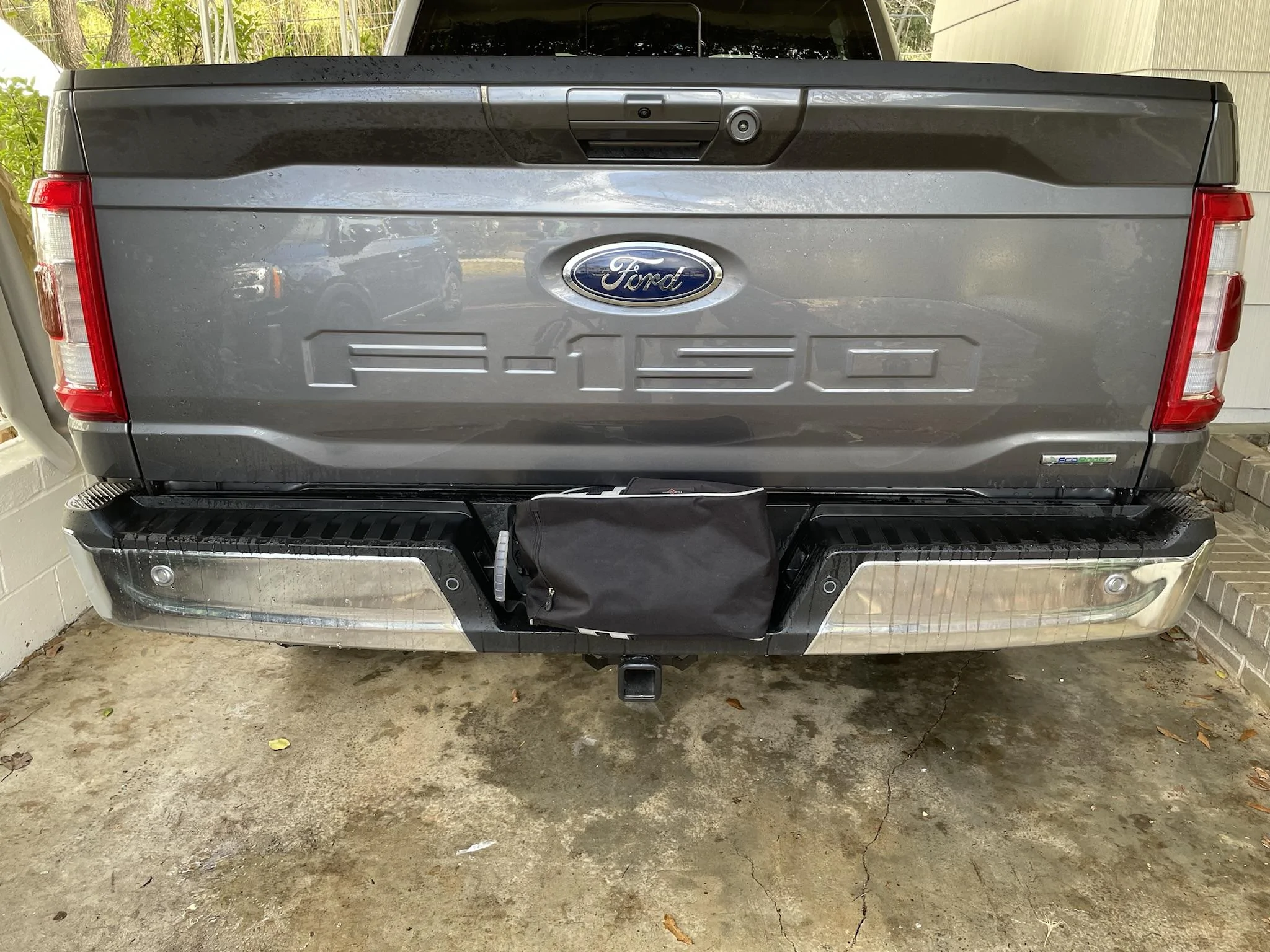 Ford F-150 Tailgate lettering : raised or flat? D206AA05-0EBD-4639-A061-C0A4E6EC129F