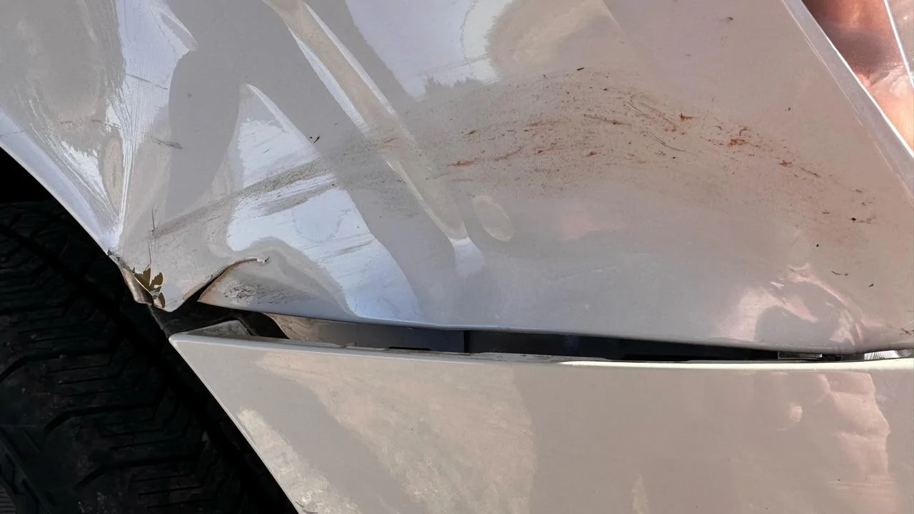 Ford F-150 Close Calls with the F150 D5963DB3-0D0C-4A9E-9AD5-795ECEC58E2A