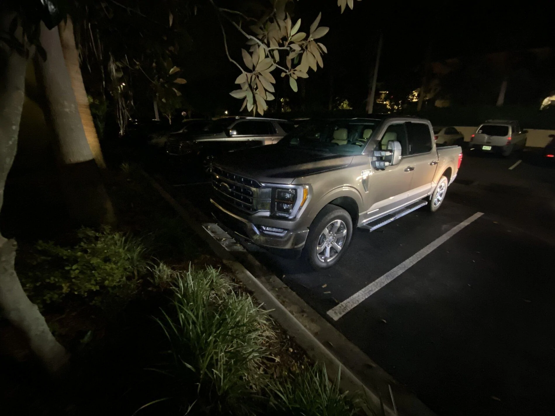 Ford F-150 STONE GRAY F-150 (2021+) Club D6D78FE9-3BC1-40C6-B393-22418A8A31F9