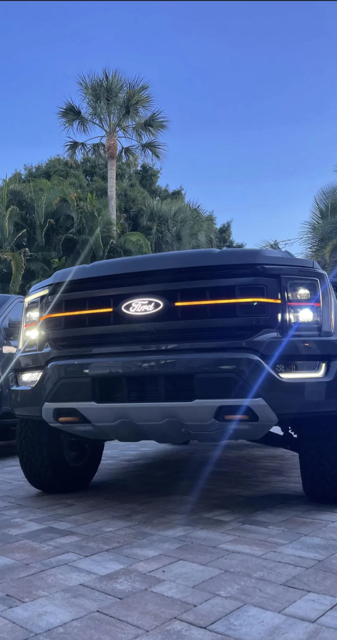 Ford F-150 BAP Platinum with STX grill swap DE034FD9-667E-4C67-9A0E-DC79220D834F