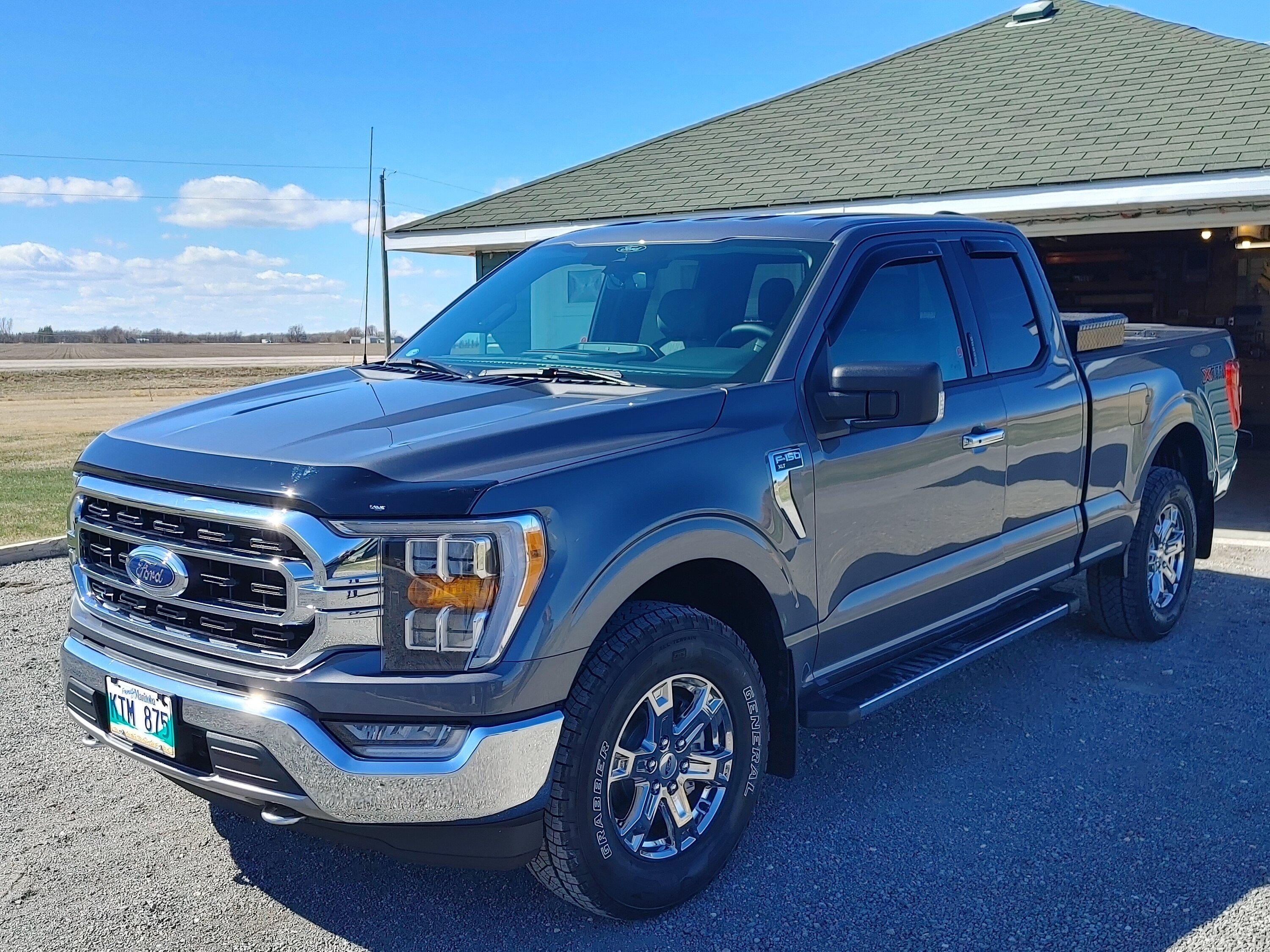 Ford F-150 Hood rock/bug guard on lighter colors? Don's Ride 04