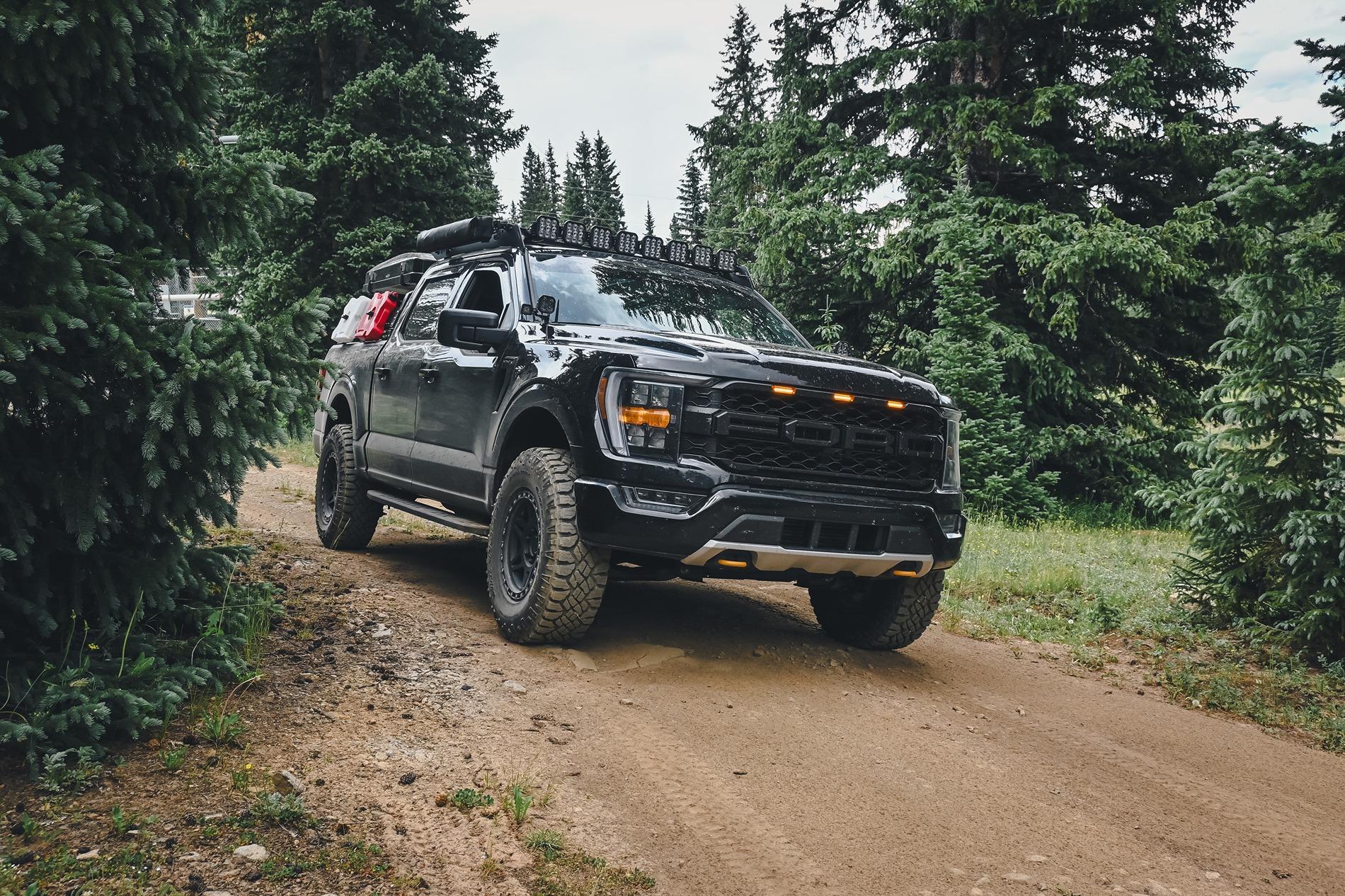 Ford F-150 The Hotshot Offroad Tremor Shop Build DSC_0588 2.JPG