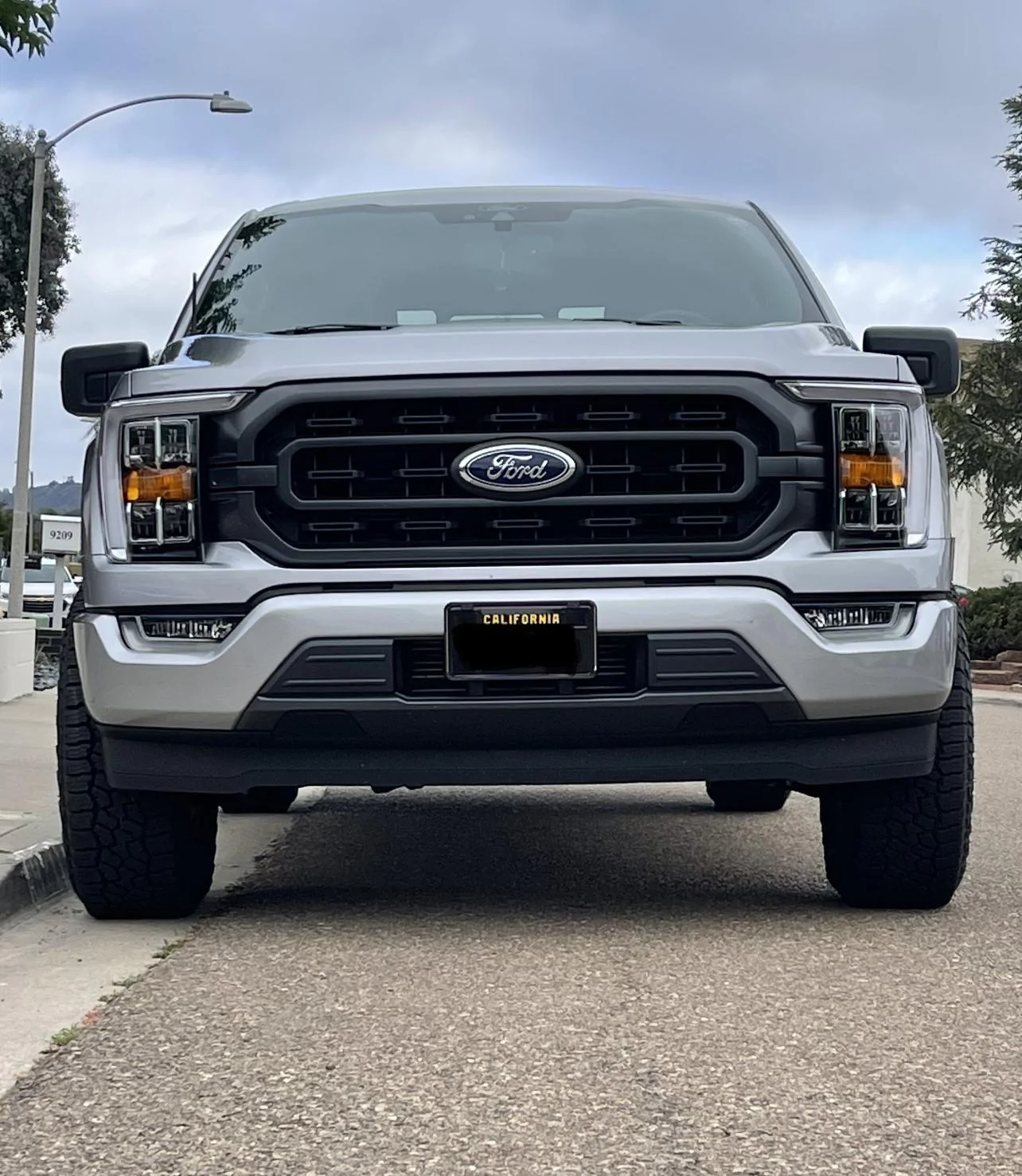 Ford F-150 ICONIC SILVER COLOR MATCHED EMBLEMS/AIR DAM REMOVAL E3027A8E-D217-4219-8EF1-2EDA9F0DAA98