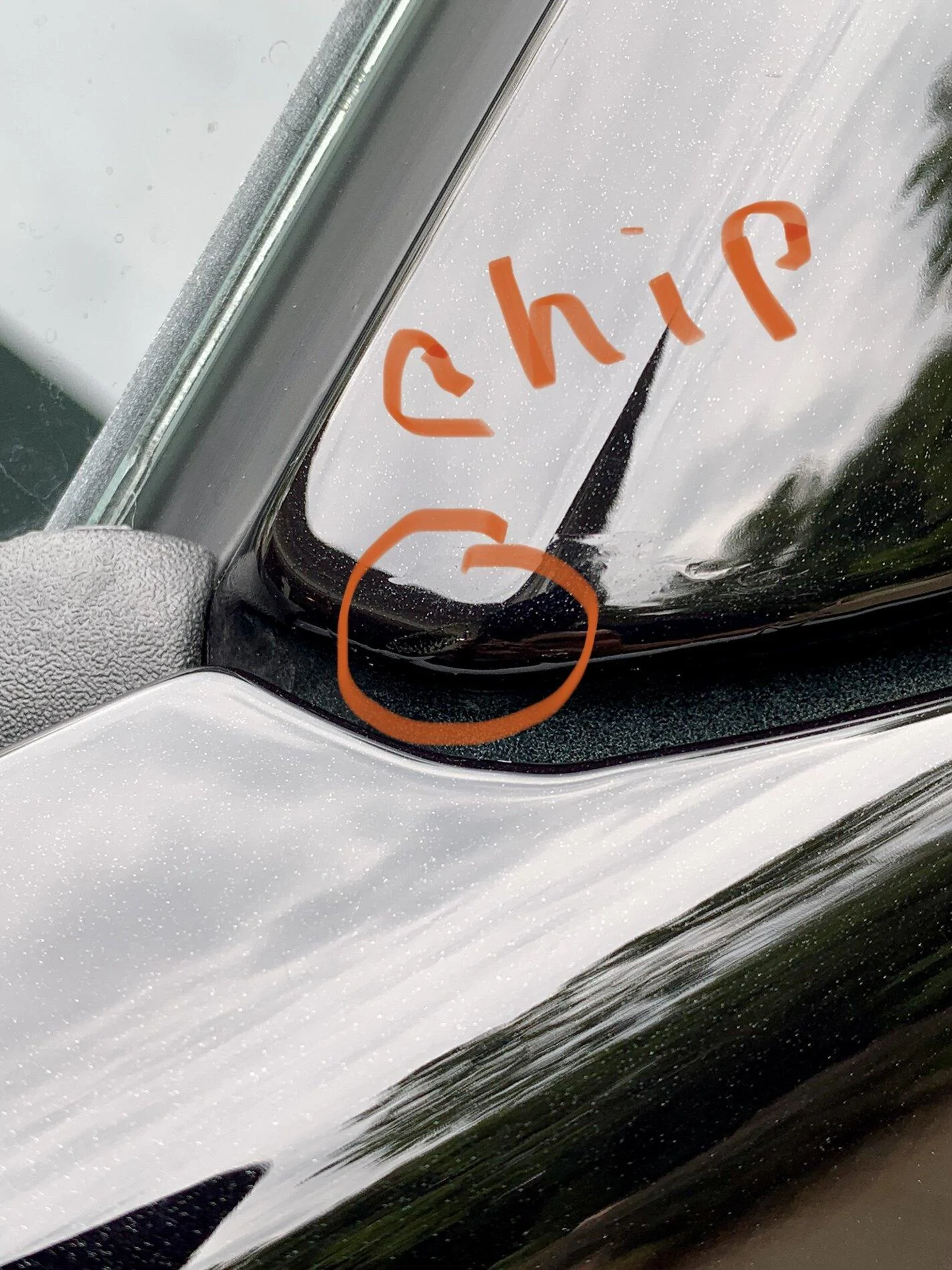 Ford F-150 List your 2021 F-150 issues E7AE6743-C565-4D0C-9387-ABE05967FE33