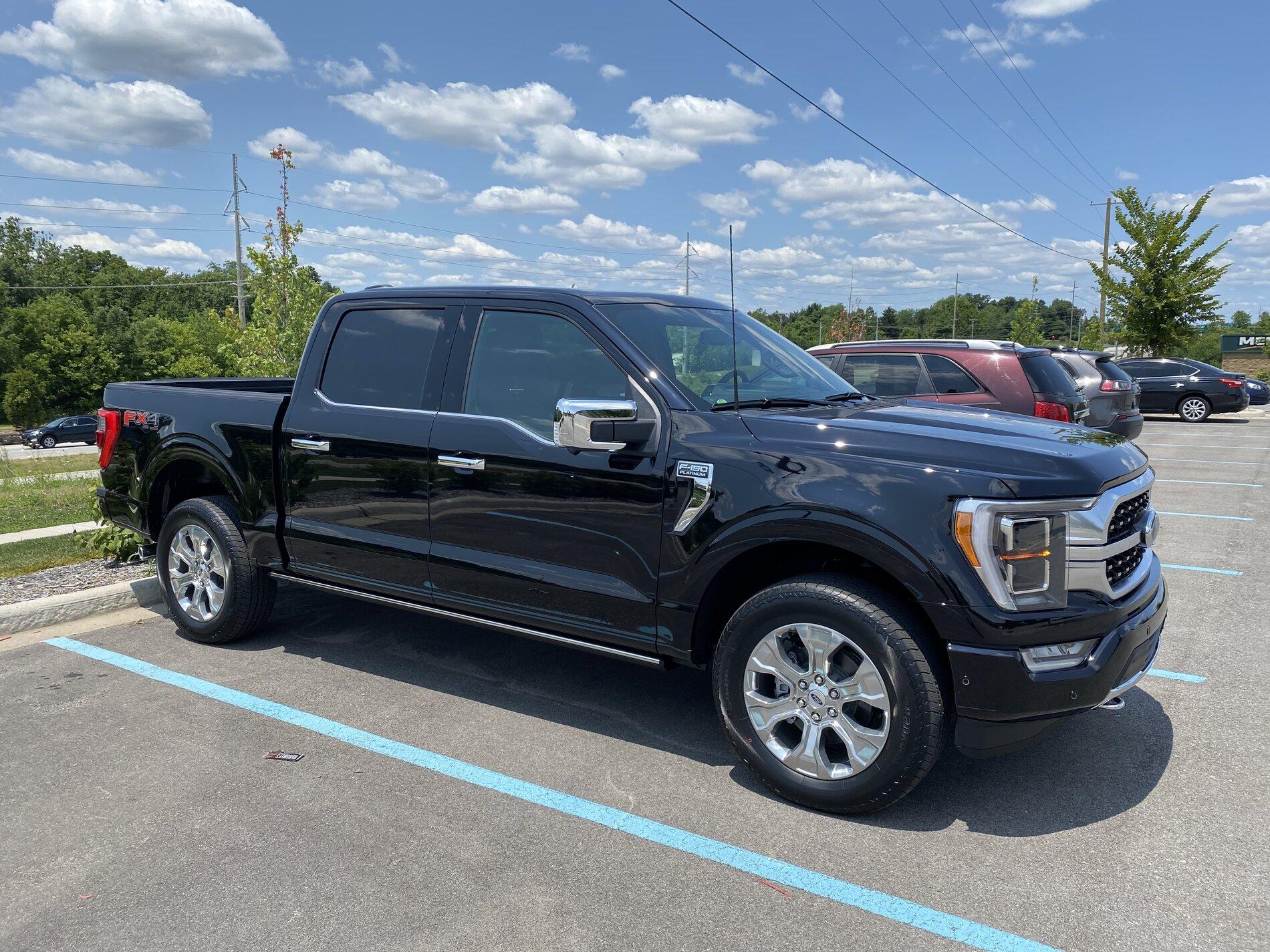 Cleaning suede / leather on the doors of F150 Platinum interior? | Page ...
