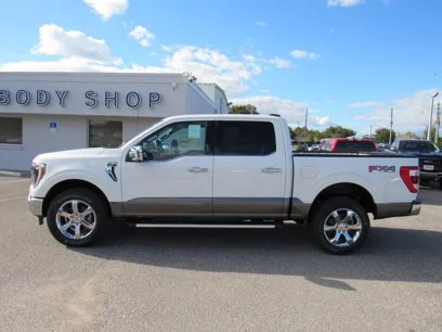 Ford F-150 STAR WHITE F-150 (2021+) Club EF06C733-0794-4EF6-9843-70BDF19BDFAA