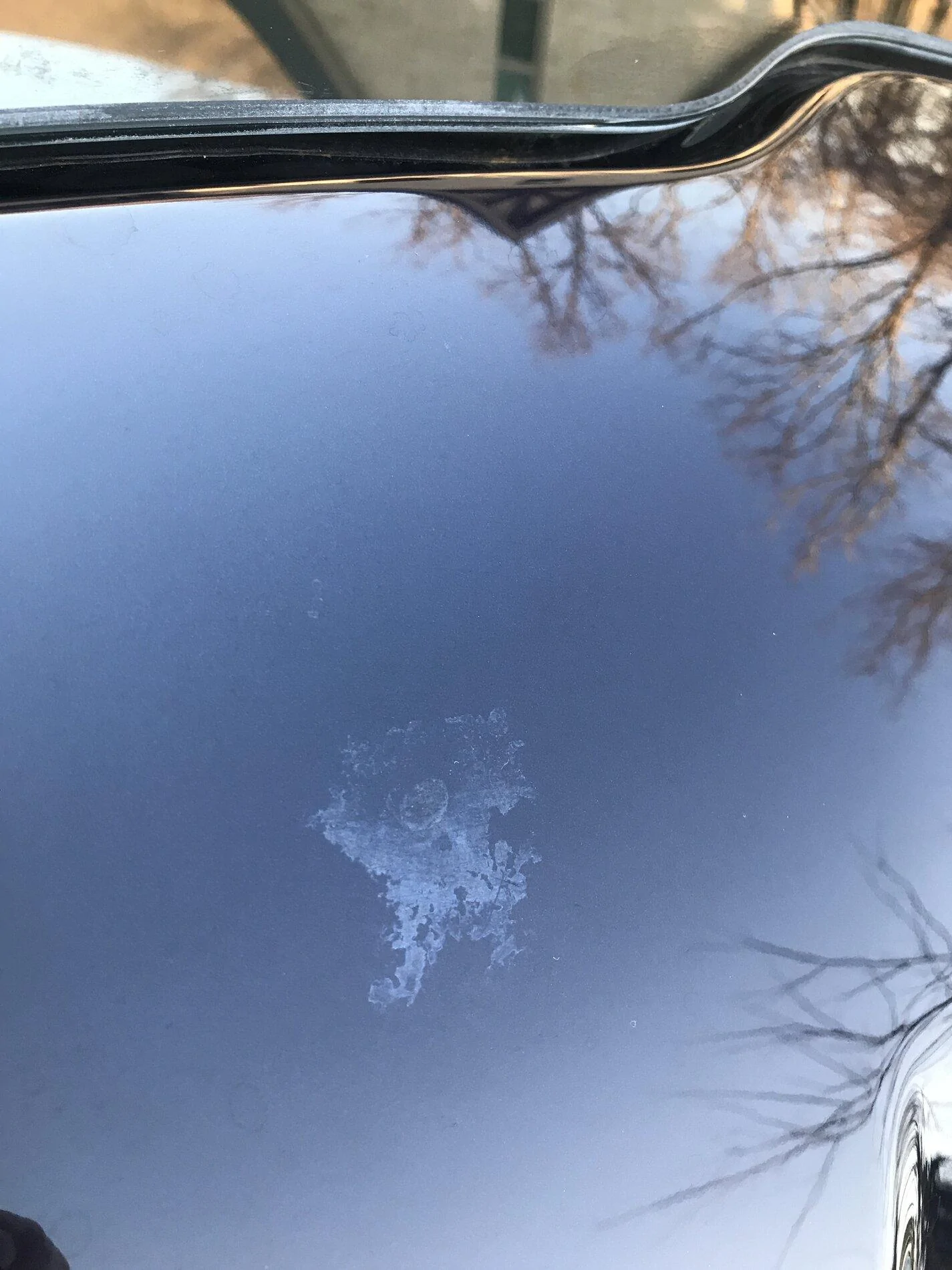 Ford F-150 Paint Issues with certain colors? EF1C8B36-9AEE-4130-A747-BBC455199492