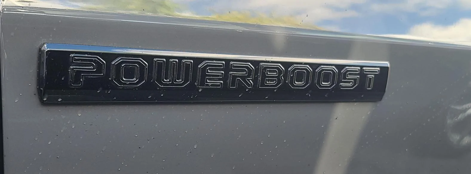 Ford F-150 Thinking about removing the Powerboost emblems Emblems