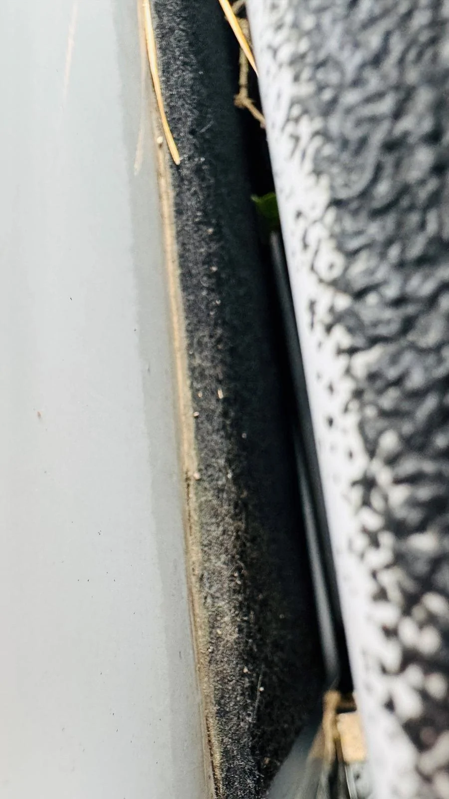 Ford F-150 Musty/mold smell after carwash/rain f150 Mildew sourc