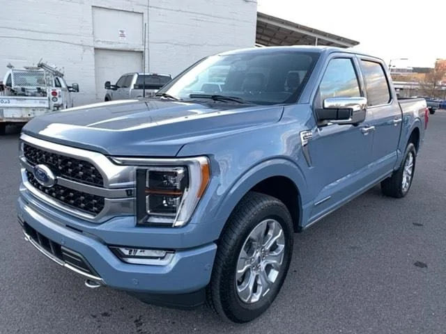 Ford F-150 Raptor style marker lights for Platinum Grill? f150_front