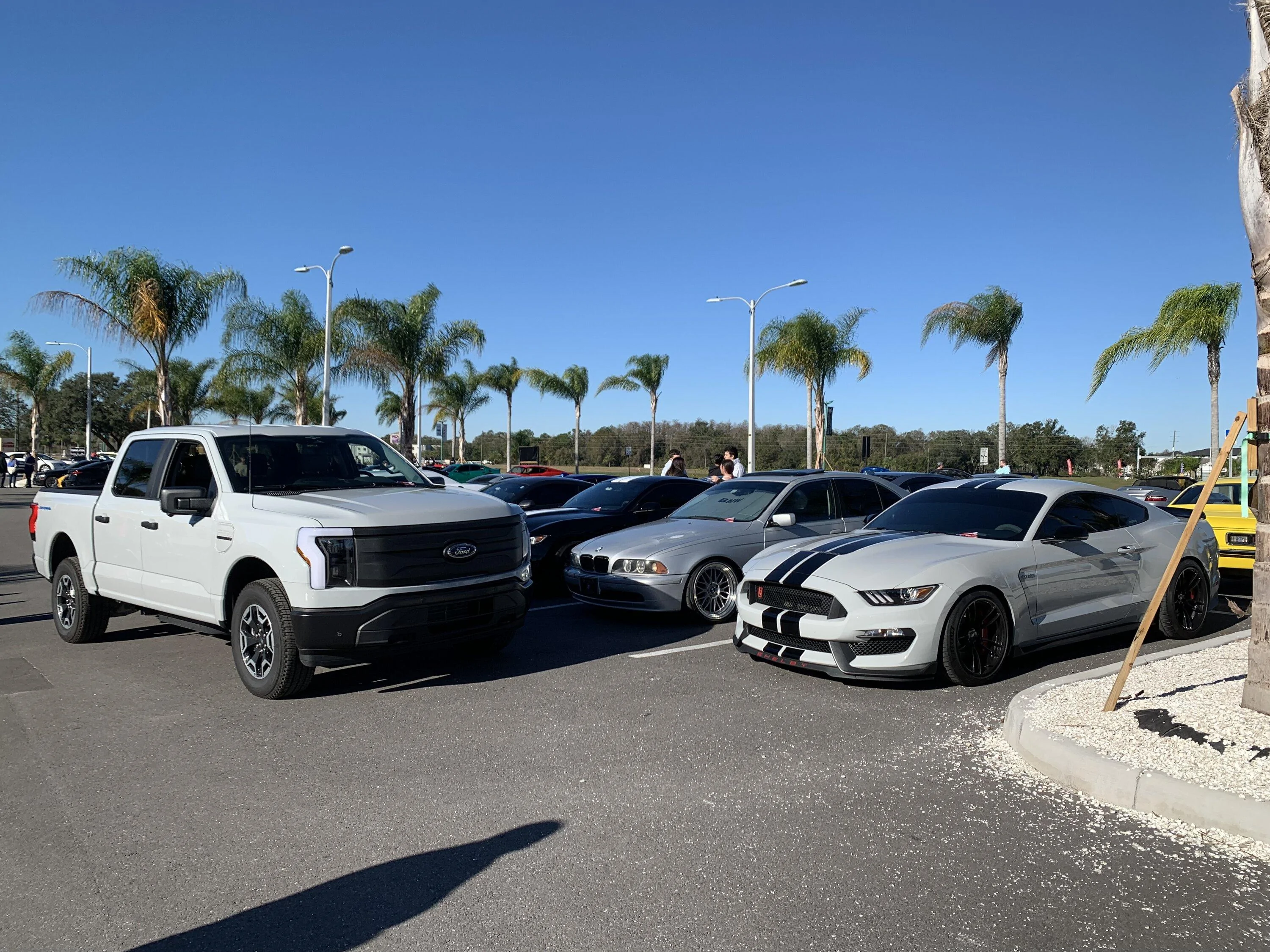 Ford F-150 In the wild Avalanche Pics? F5136074-D228-4769-AE0D-E65767E53975