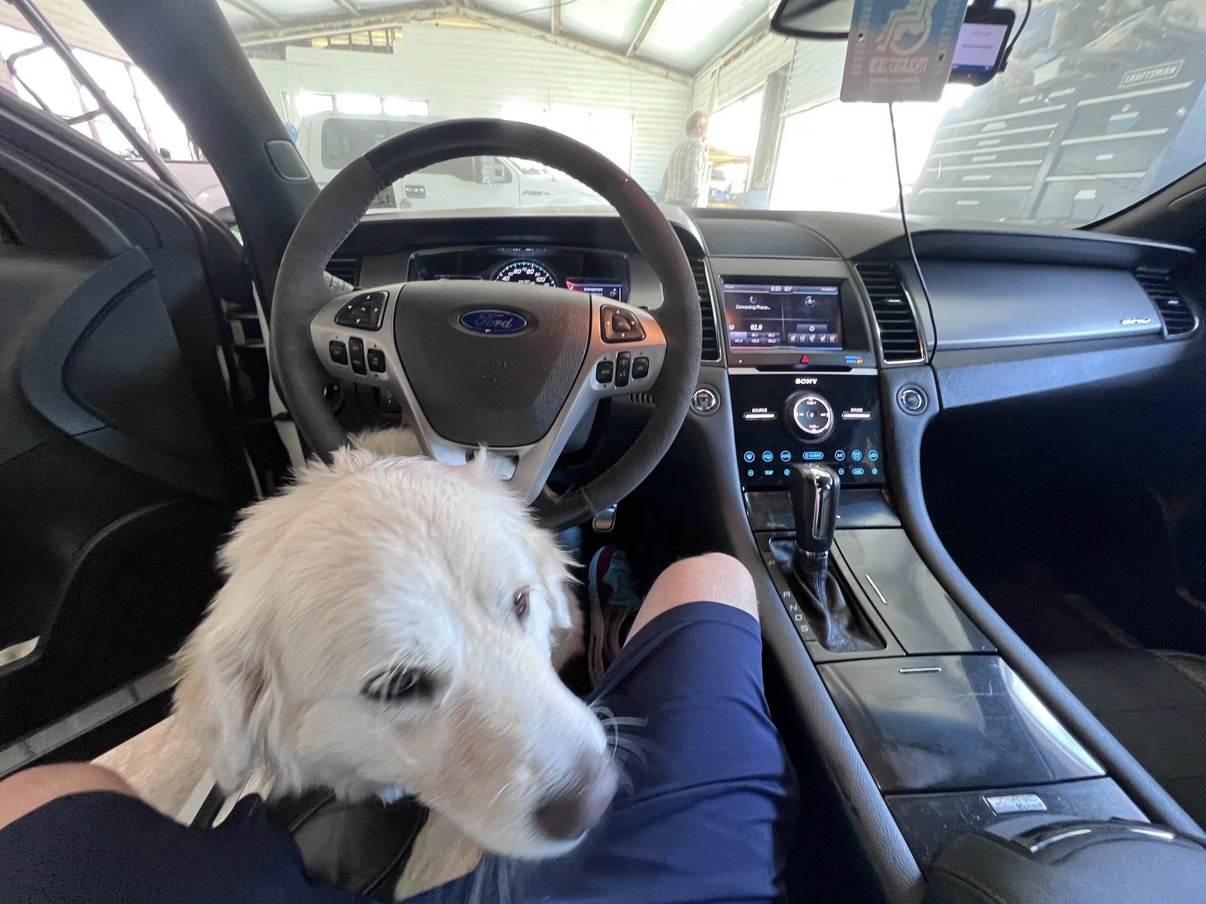 Ford F-150 4 Legged Photo Request - in Memoriam of Tank F95749DC-E7A6-4754-88FF-58585FA67CAC