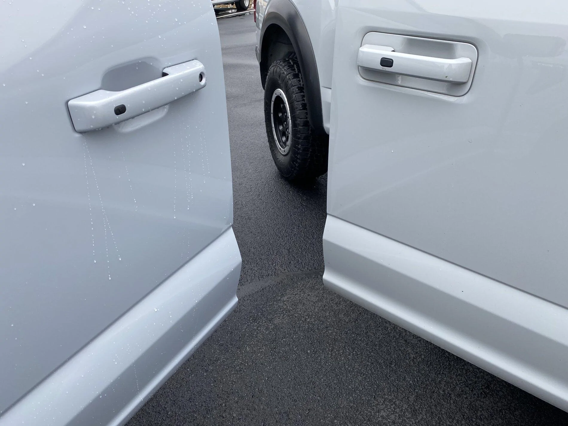 Ford F-150 Space White F-150 vs Avalanche Gray Raptor Color FD3E399A-8E56-4562-8307-C4BDD293C273