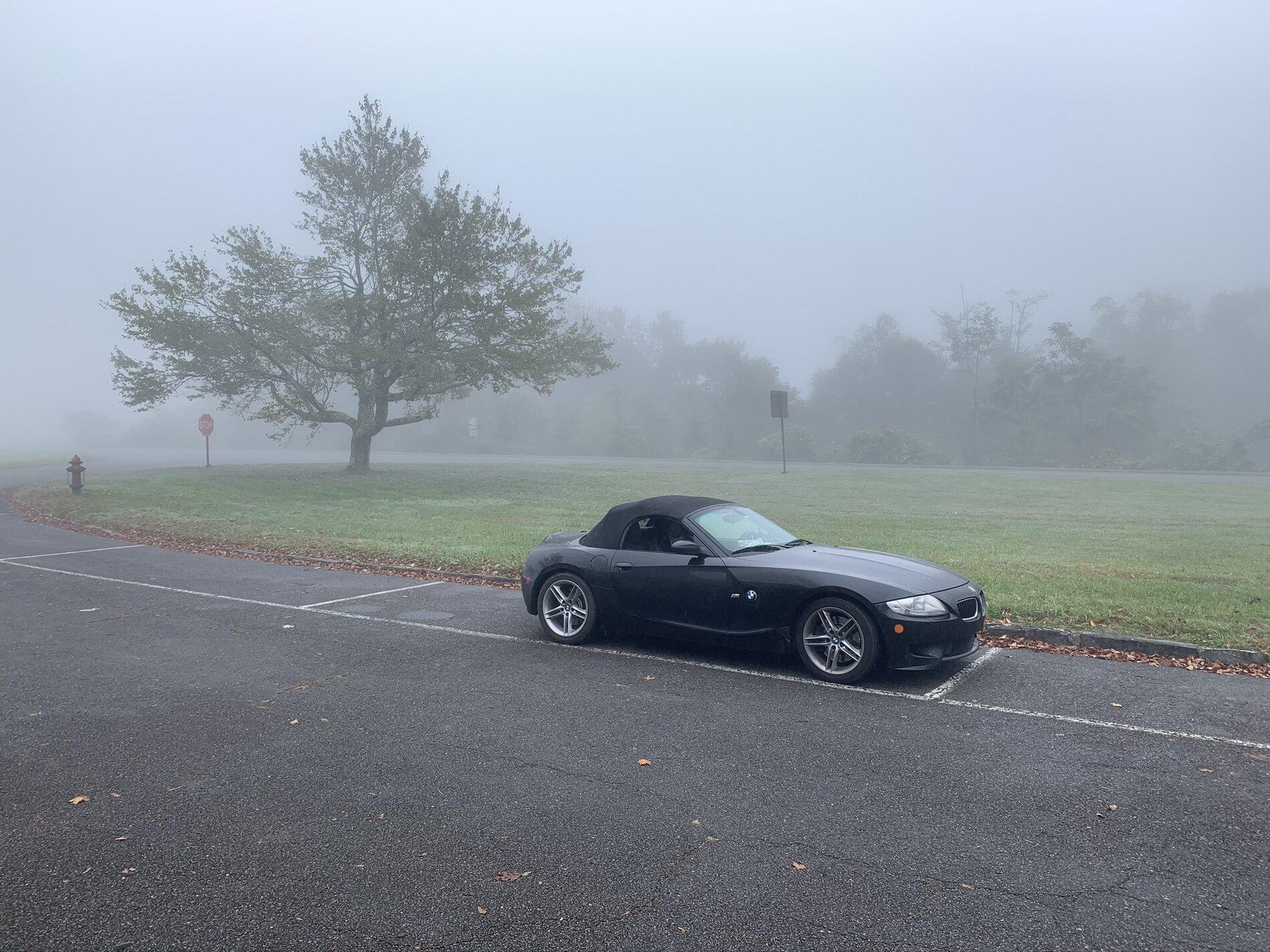 Ford F-150 Factory wheel well liners photos? FFBEB4E5-7FB2-44ED-82DE-A3E44C0BBBA5