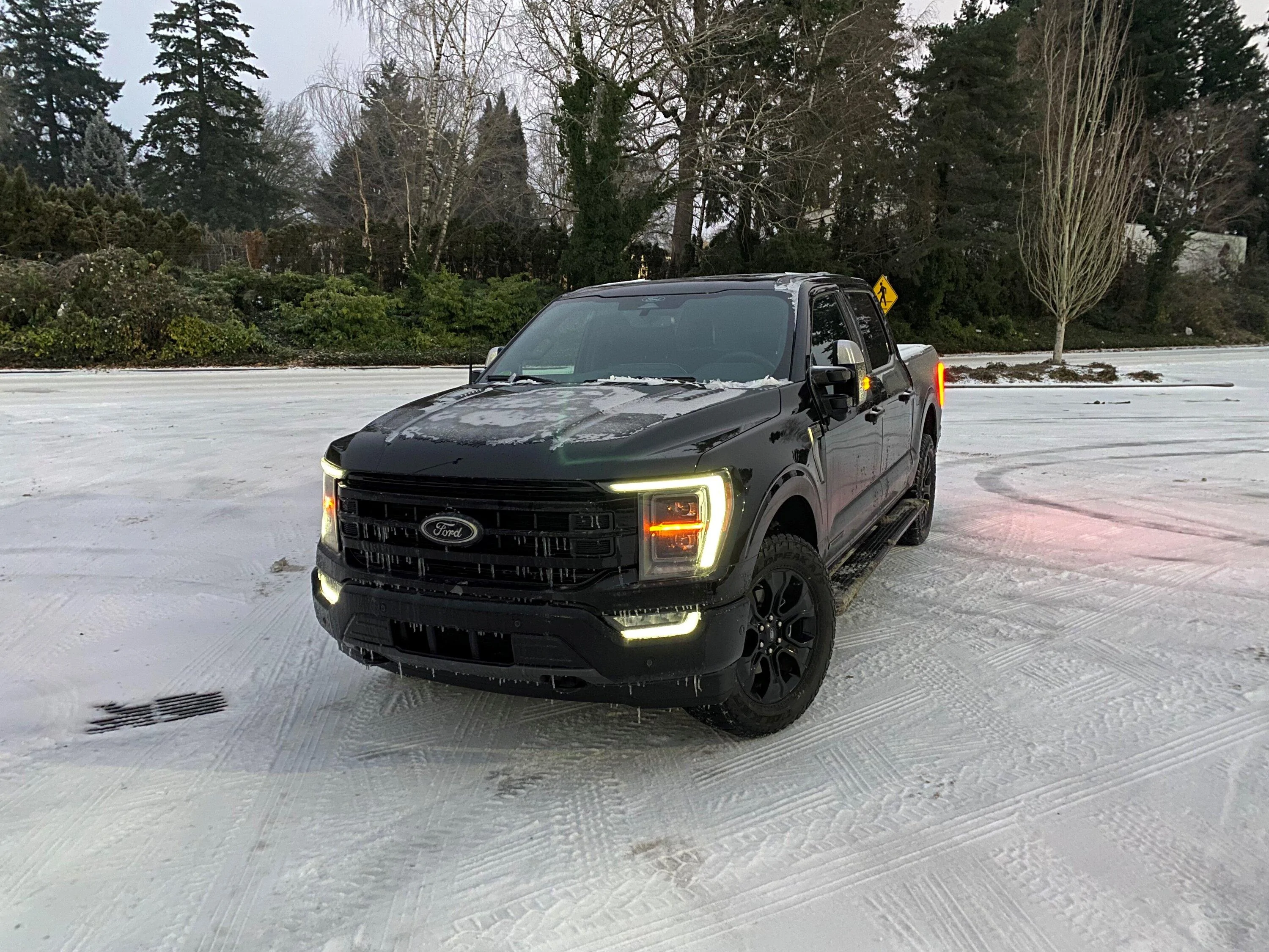 Ford F-150 Black Appearance Package, Black Platinum F-150 Front Right Lights