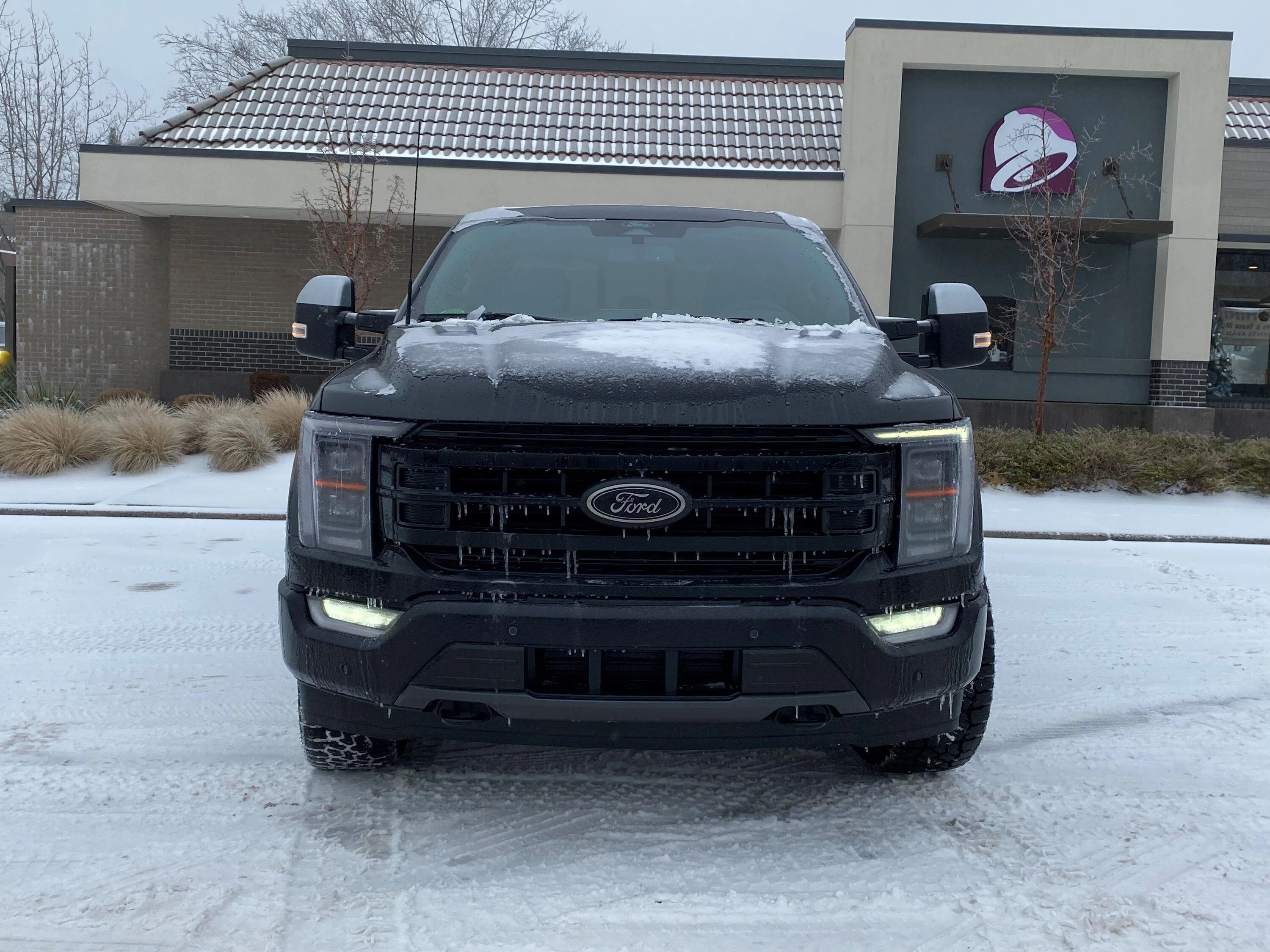 Ford F-150 Black Appearance Package, Black Platinum F-150 Front