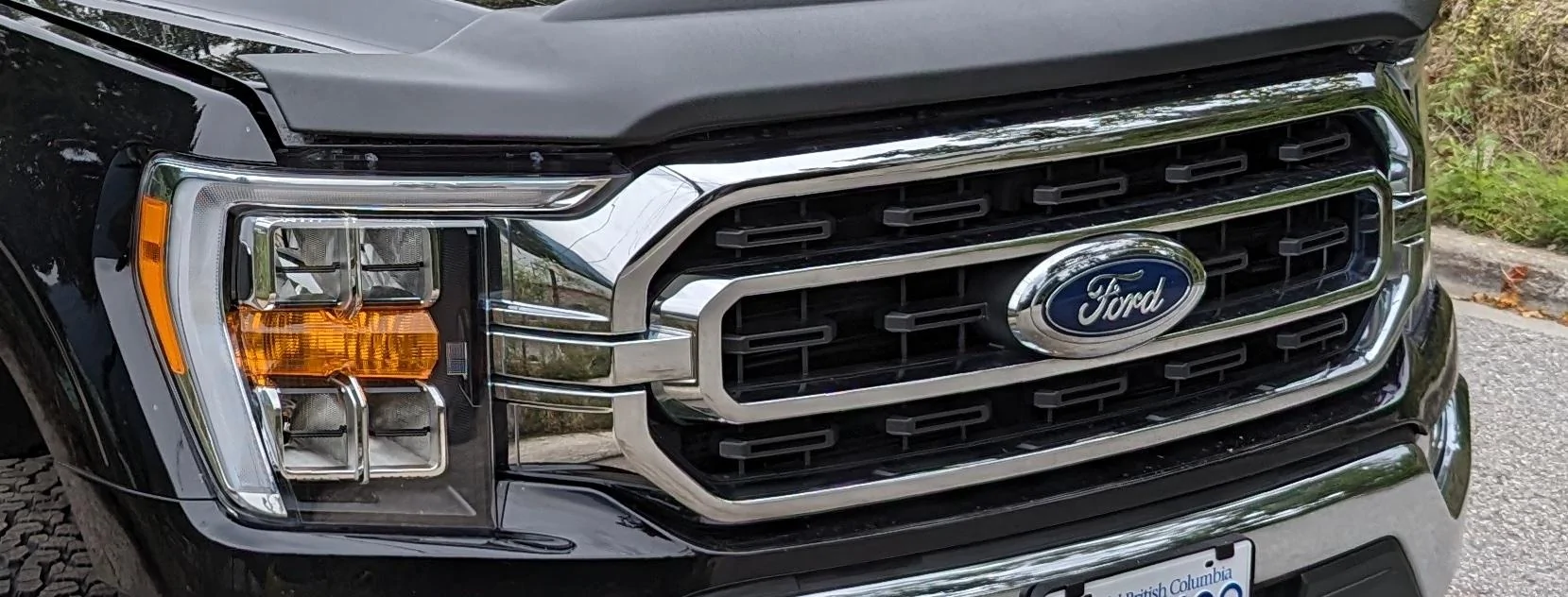 Ford F-150 XLT Grille Chrome - $250 CAD grille1