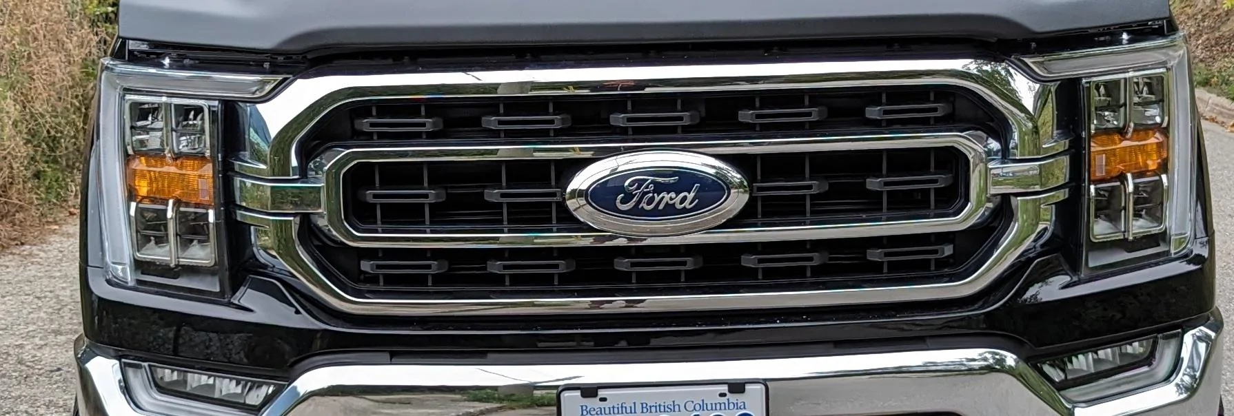 Ford F-150 XLT Grille Chrome - $250 CAD grille2