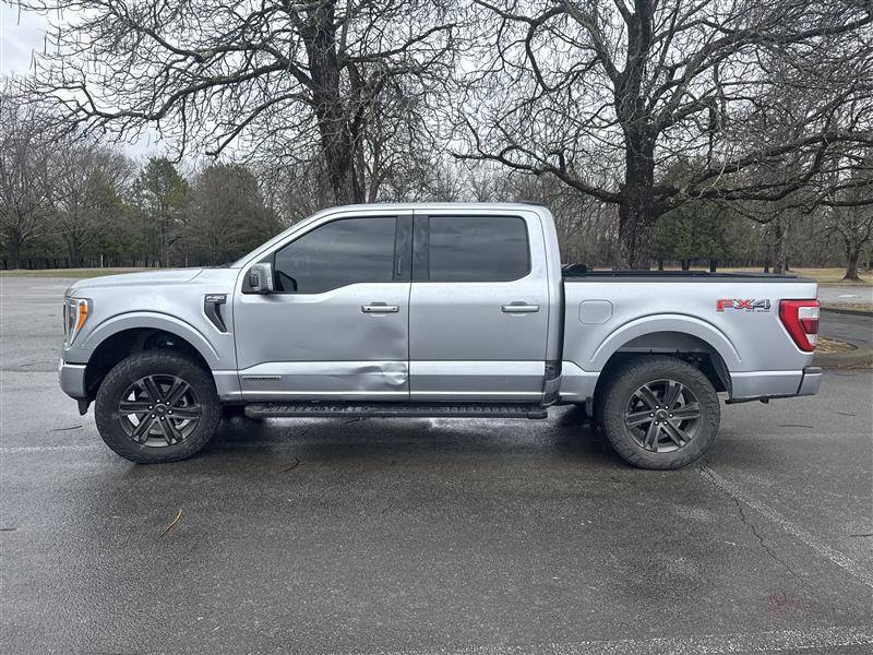 Ford F-150 The Deer hit every panel - Drivers side damage assessment Image (74)