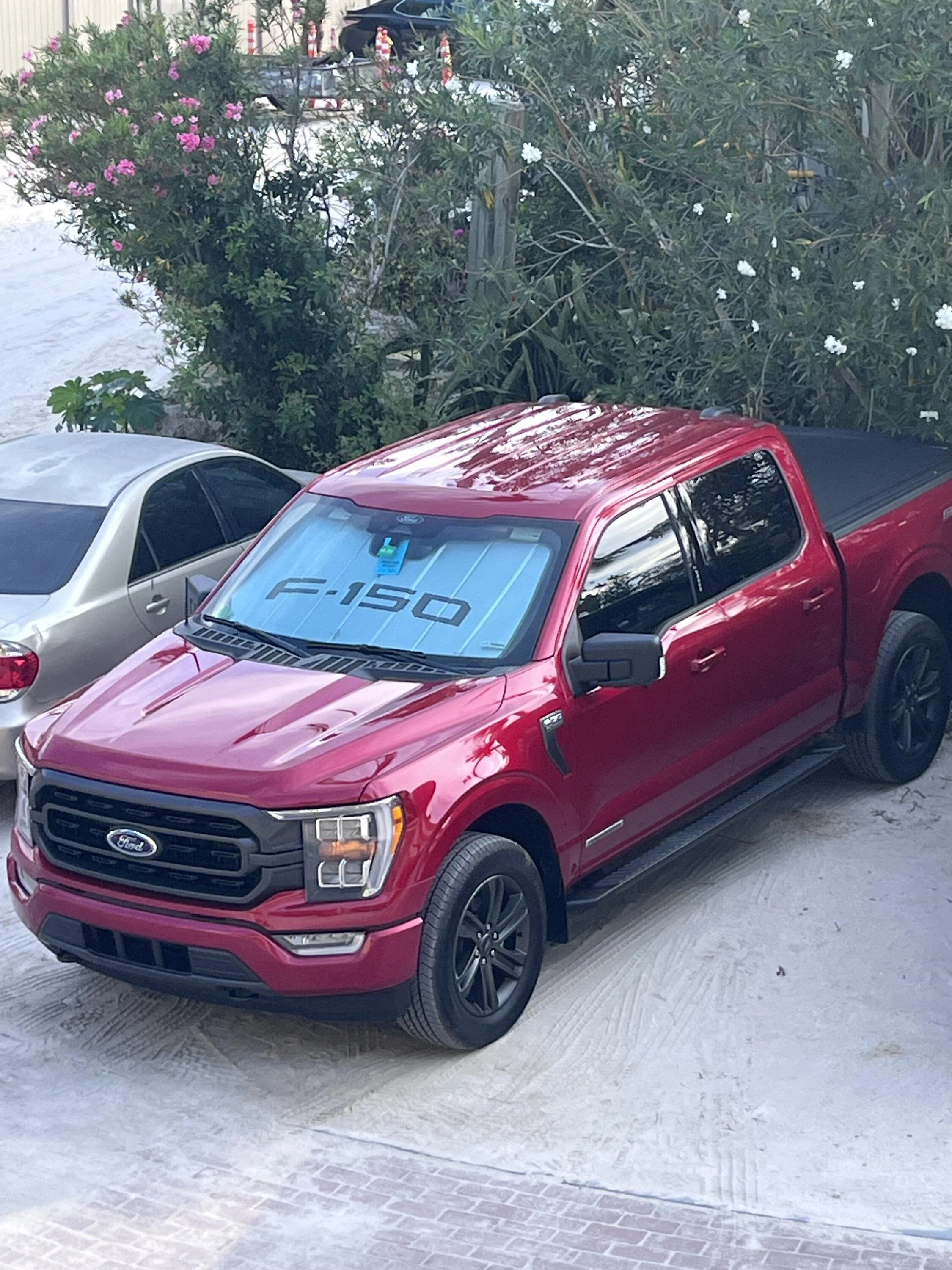 Ford F-150 PPF and Ceramic Coating in Central Florida IMG-1339