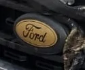 Ford F-150 Dark Bronze Wheels? IMG-20221114-WA0001