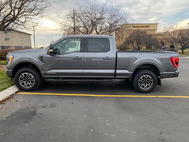 Ford F-150 New Owner - New Tires, Level ASAP IMG-3232