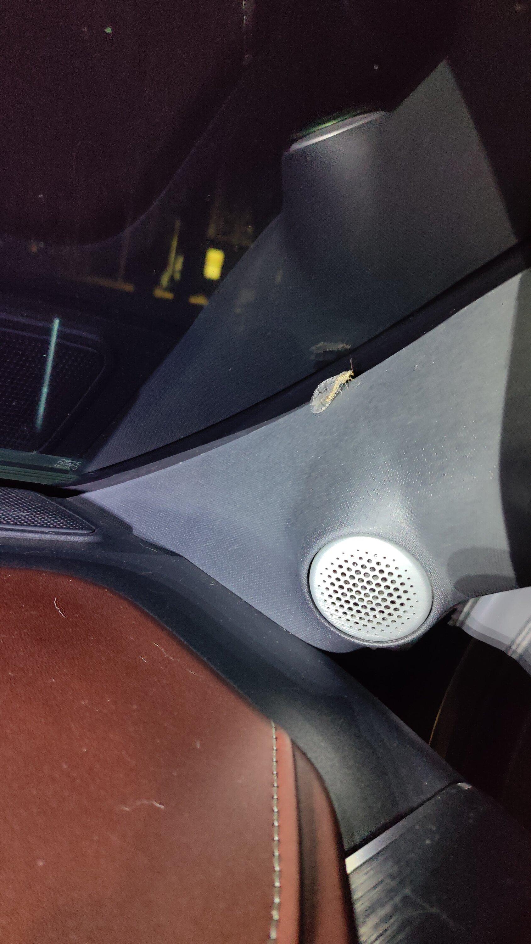 Ford F-150 Intrusion alarm due to a flying insect IMG20220905025925