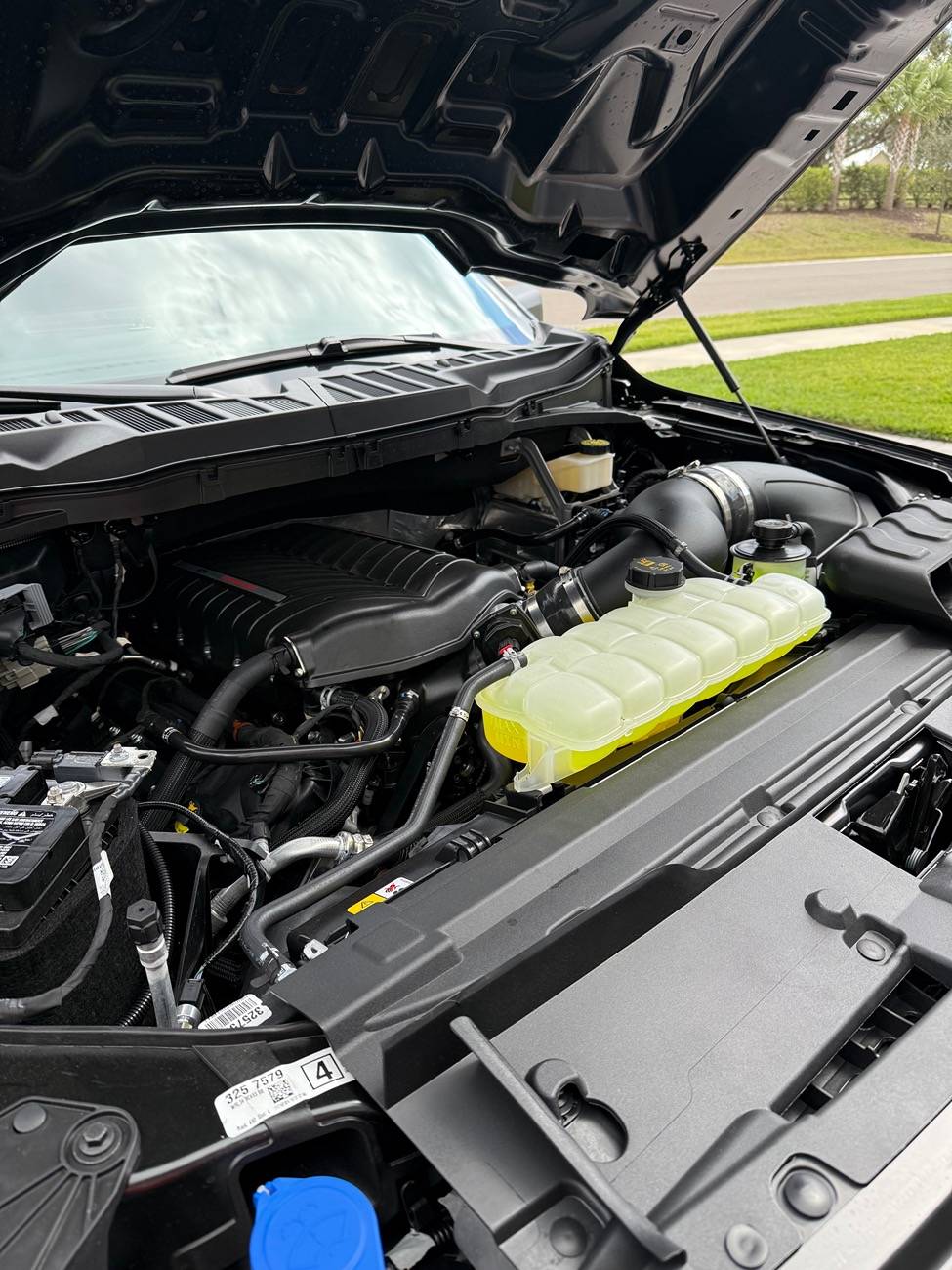 Ford F-150 Front Bumper Parking Sensor Surround IMG_0017