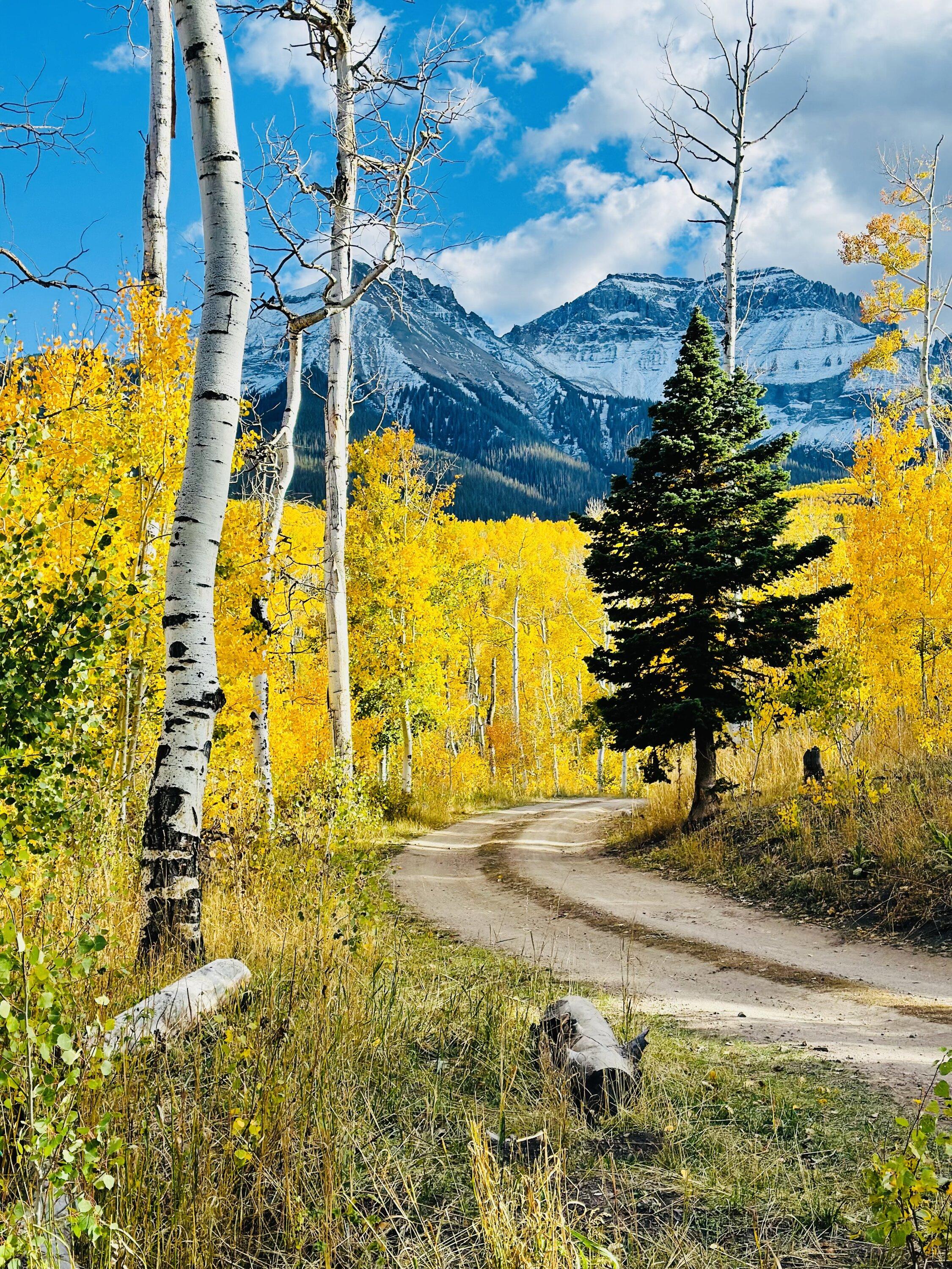 Ford F-150 Autumn Color Eye Candy IMG_0050