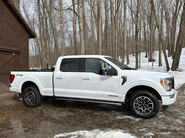 Ford F-150 What do you call your truck? IMG_0111