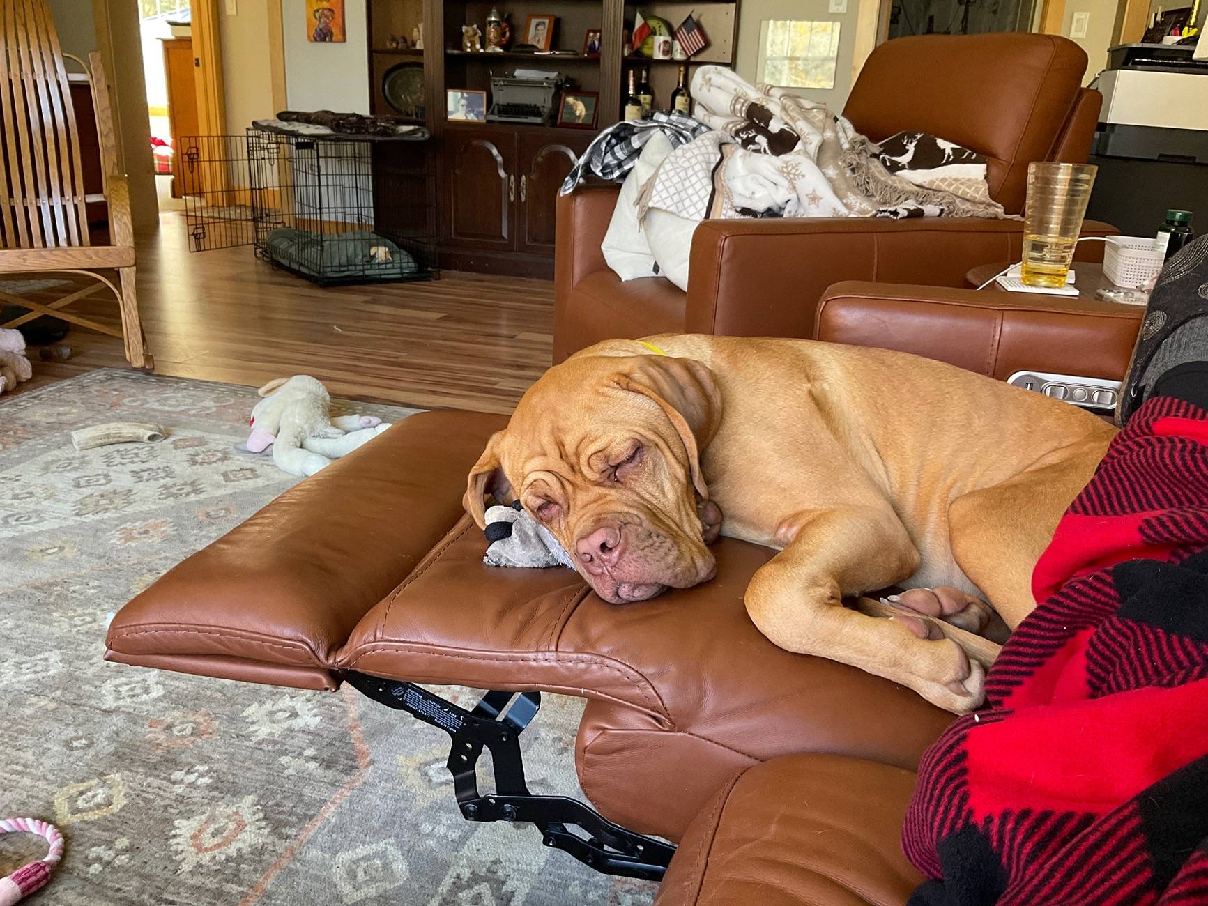 Ford F-150 Sync update 25.2.1.6.5 started installing while driving IMG_0154