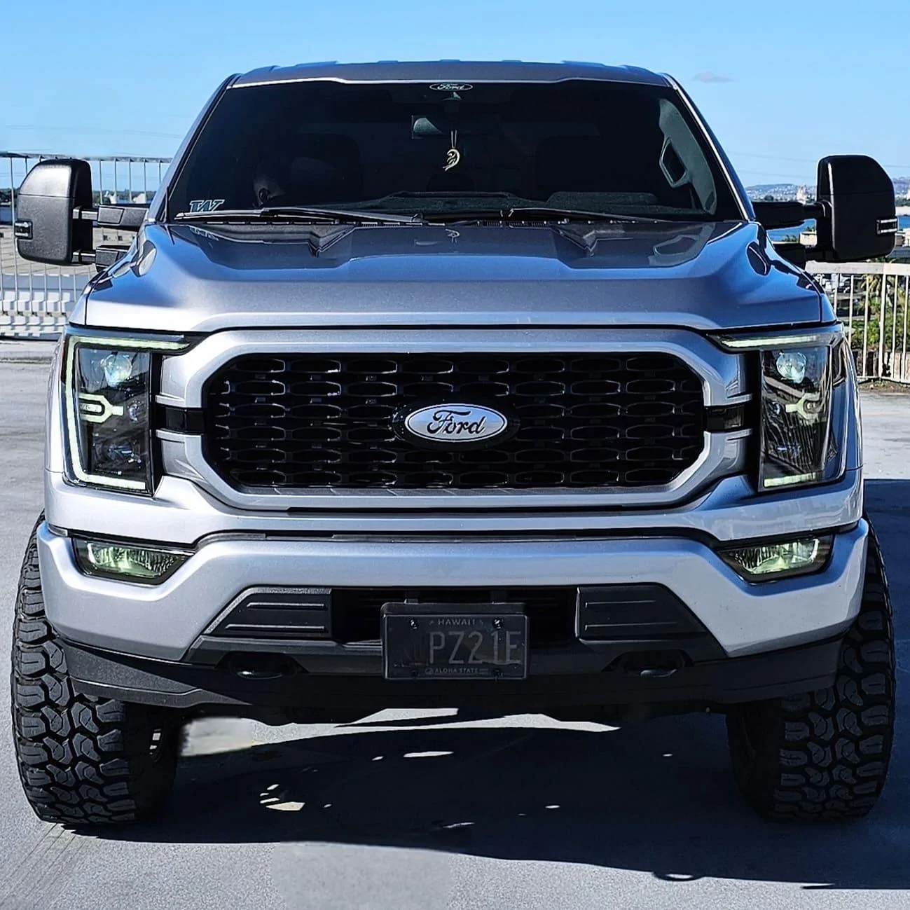 Ford F-150 ICONIC SILVER F-150 (2021+) Club IMG_0199