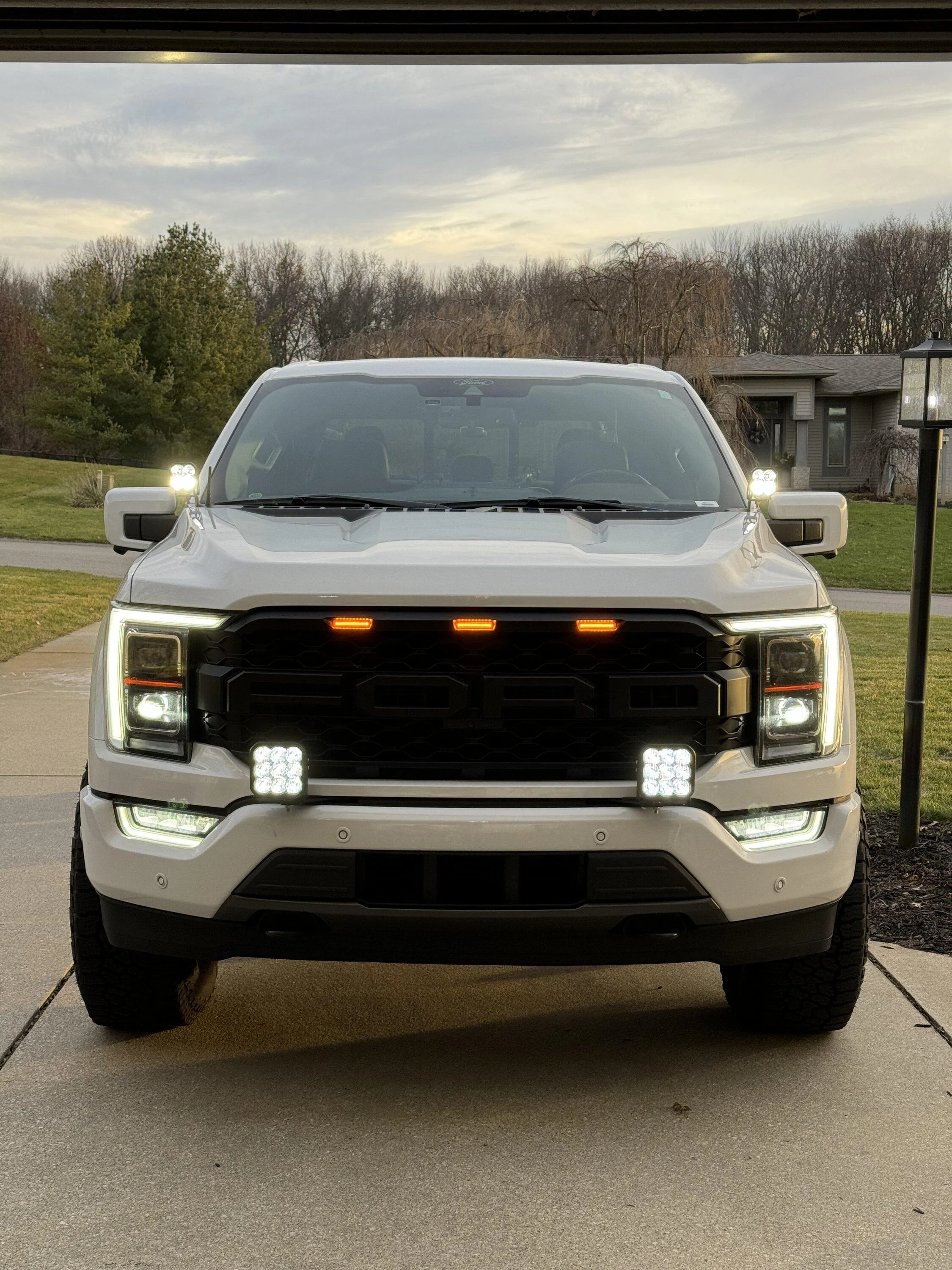 Ford F-150 Best options for dark roads with deer? IMG_0303