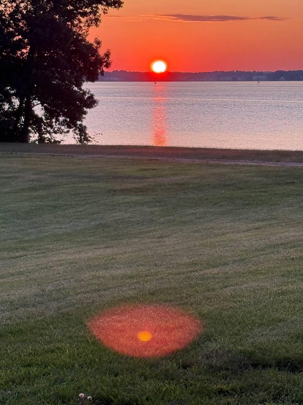 Ford F-150 What did you do WITH your F-150 today? IMG_0314