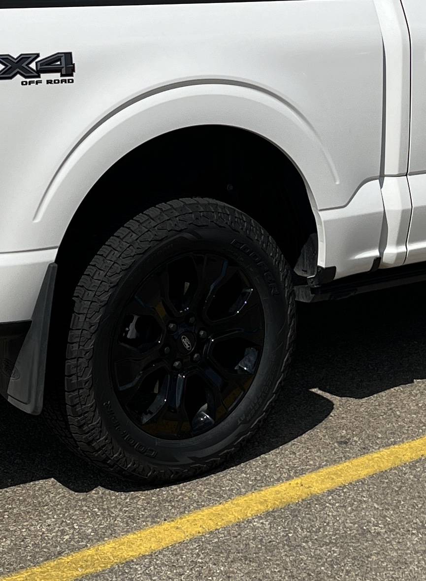 Ford F-150 Tires Pictures! (Help me choose new tires) IMG_0348