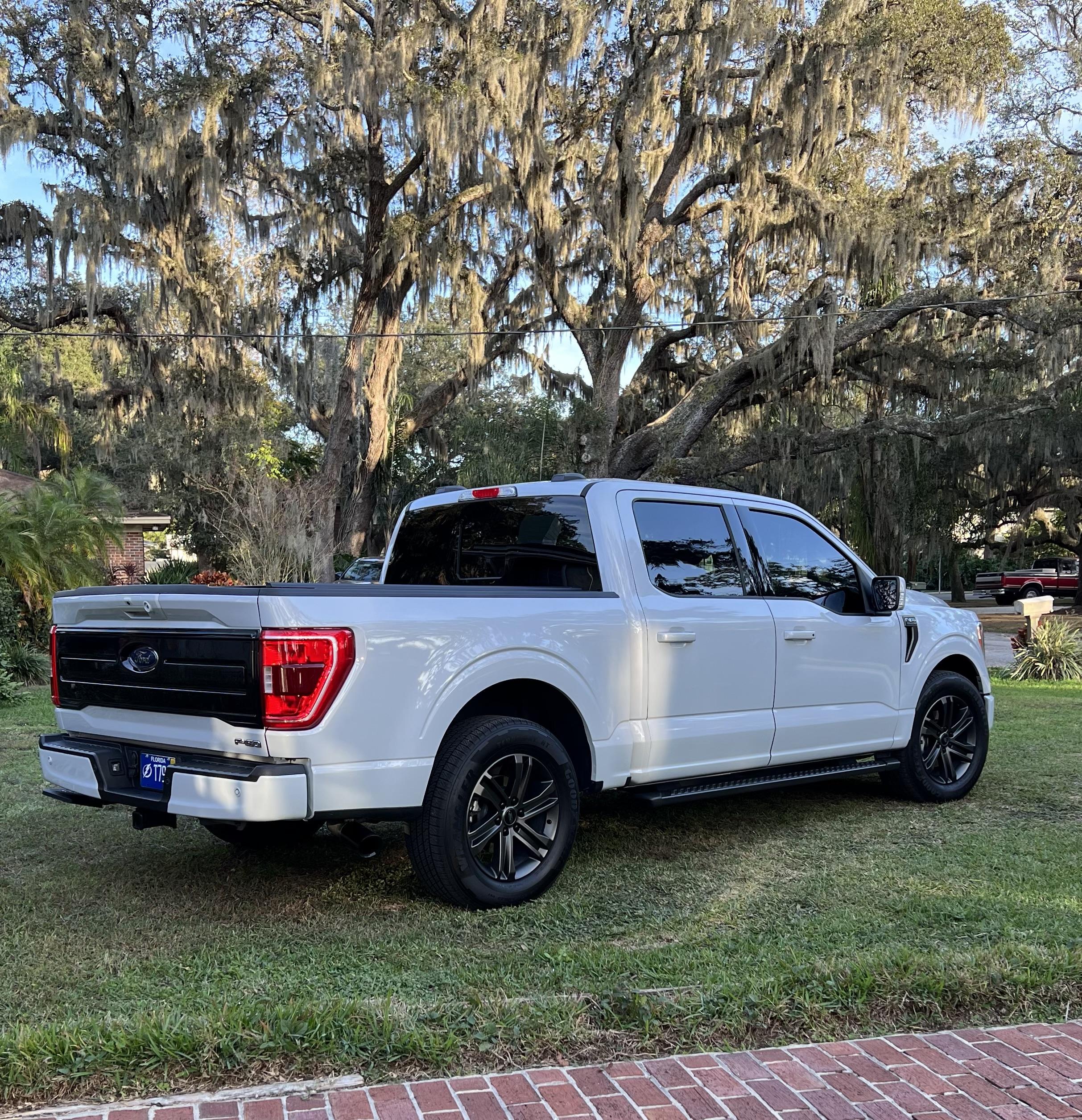 Ford F-150 I did a thing. Air designs tailgate appliqué IMG_0366