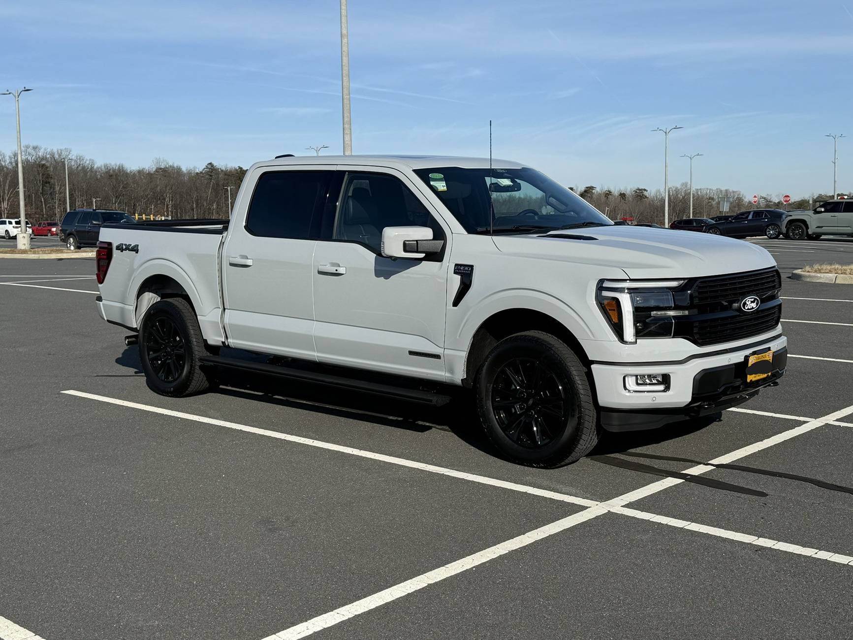 Ford F-150 AVALANCHE F-150 (2021+) Club IMG_0424.JPEG