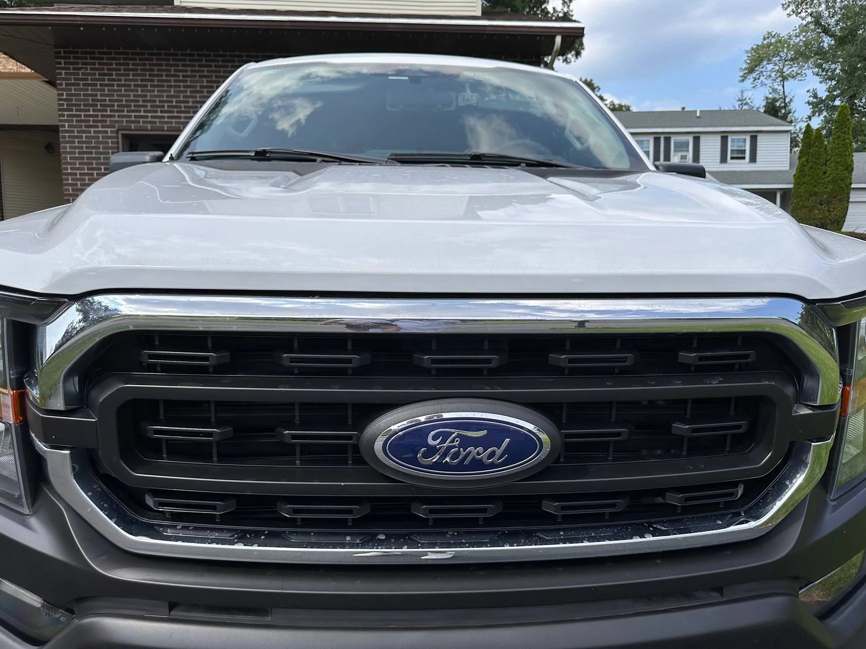 Ford F-150 XLT Grille(2023) $200 IMG_0428