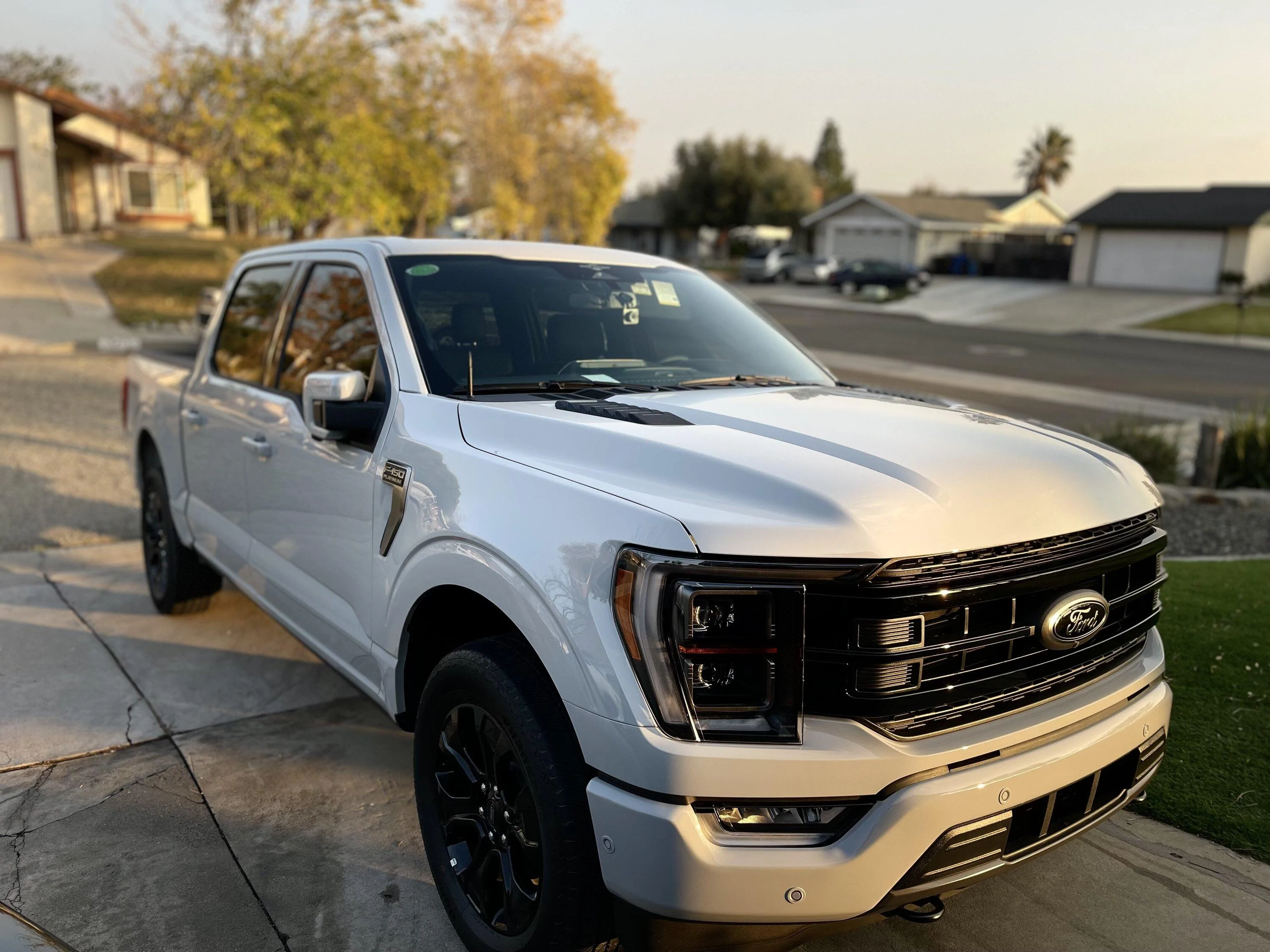 Ford F-150 BAP Black Appearance Package Trucks, POST HERE IMG_0565