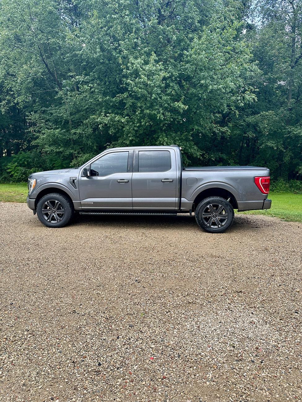 Ford F-150 Appreciation IMG_0579