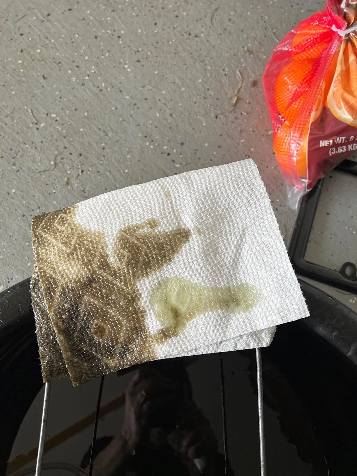 Ford F-150 Front differential Drain Plug? IMG_0822