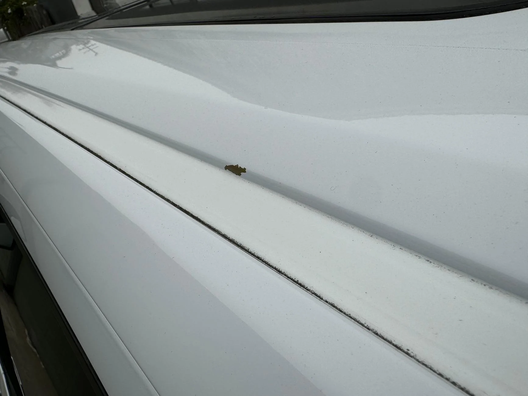 Ford F-150 About done with Ford (Paint Peeling) IMG_0848