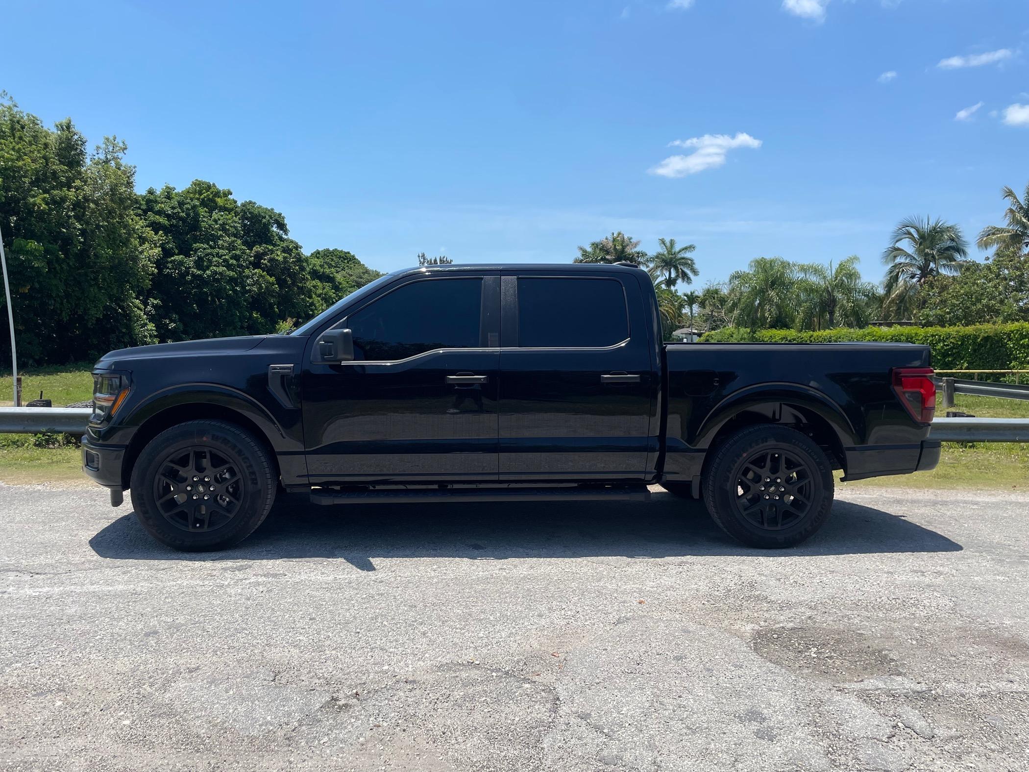 Ford F-150 Show me your tints 😎 IMG_0953