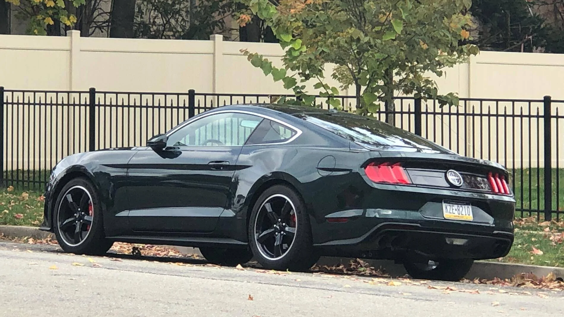 Ford F-150 What’s in Your Garage (Besides Your F-150)? Let's Share!🚗🛠️ IMG_0954