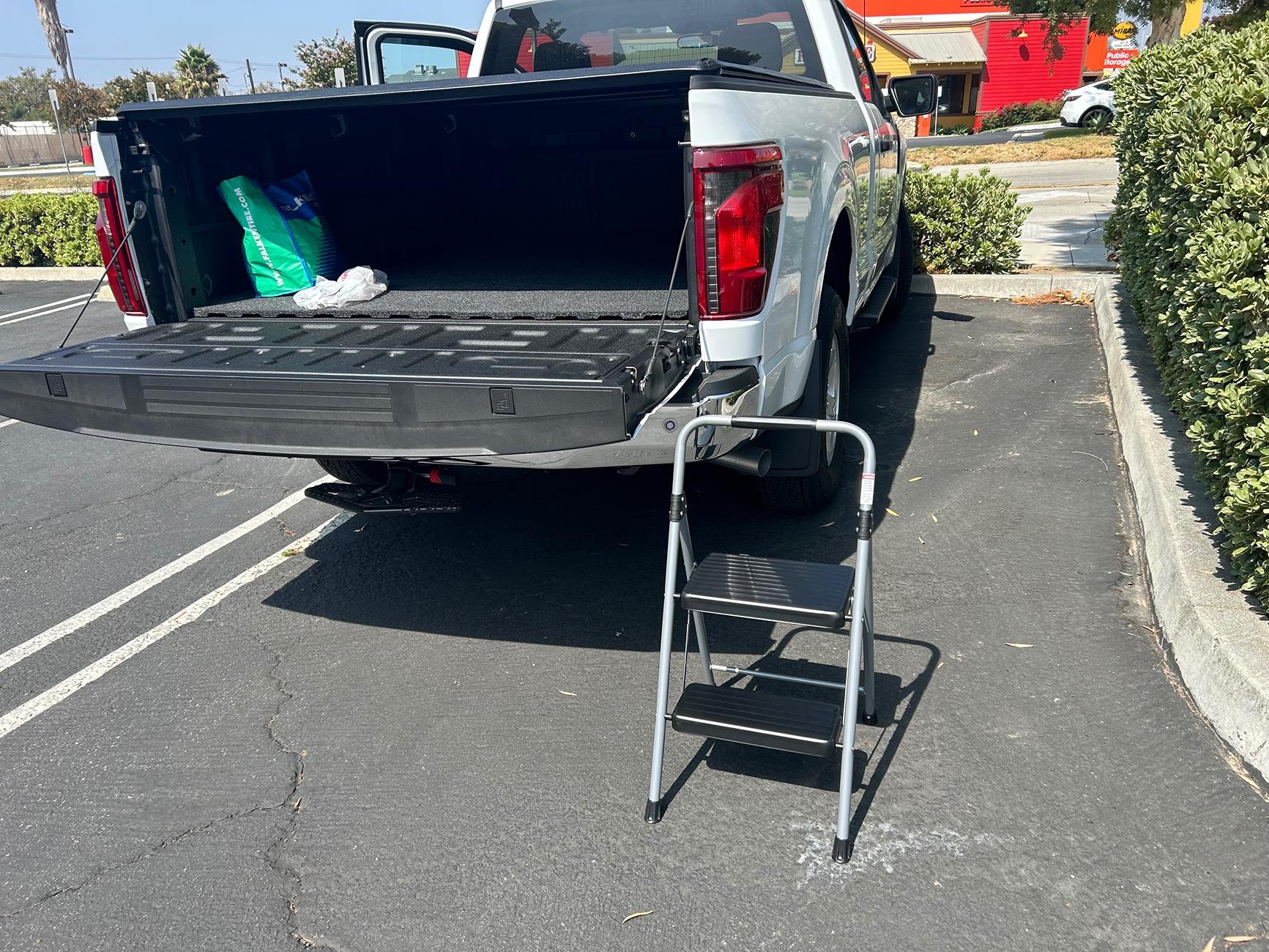 Ford F-150 Step OR Ladder IMG_1105