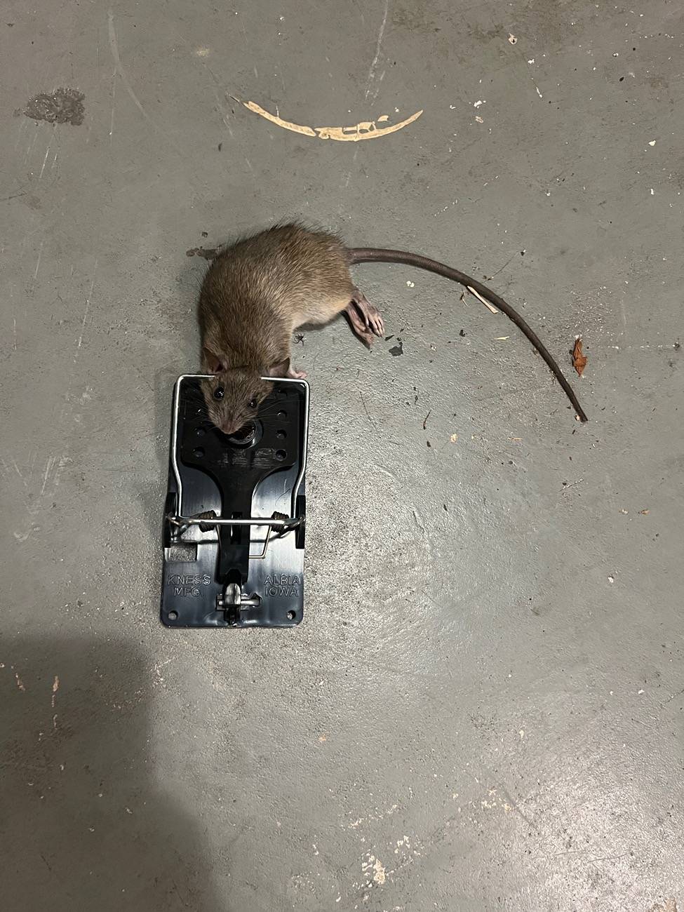 Ford F-150 Drive Control Fault IMG_1109