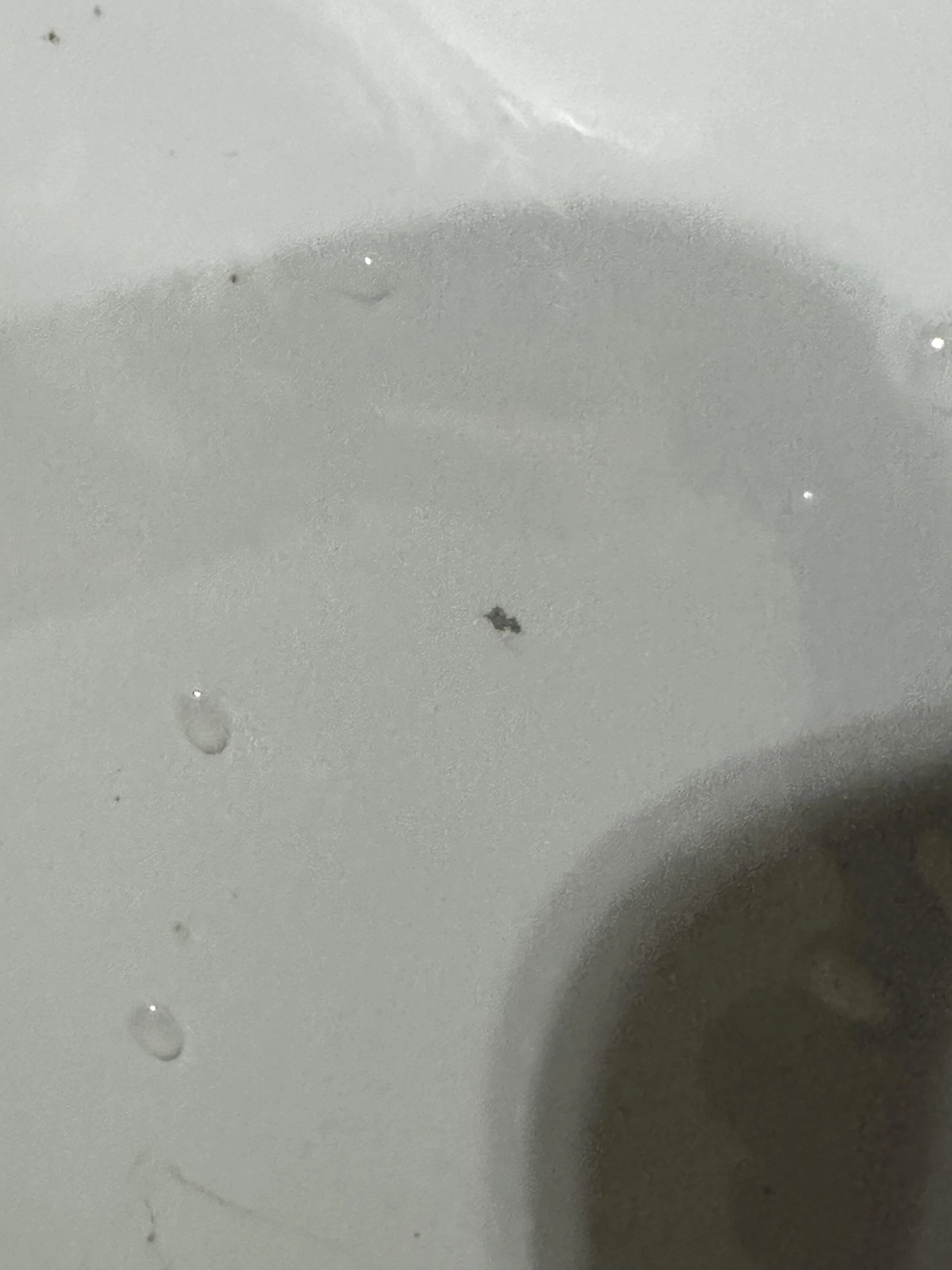 Ford F-150 PAINT CHIPS. IMG_1319