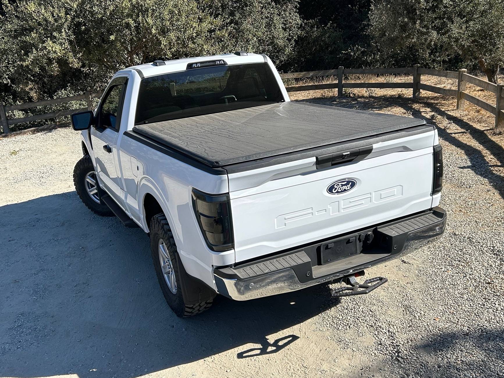Ford F-150 Aftermarket Taillight Pictures IMG_1458