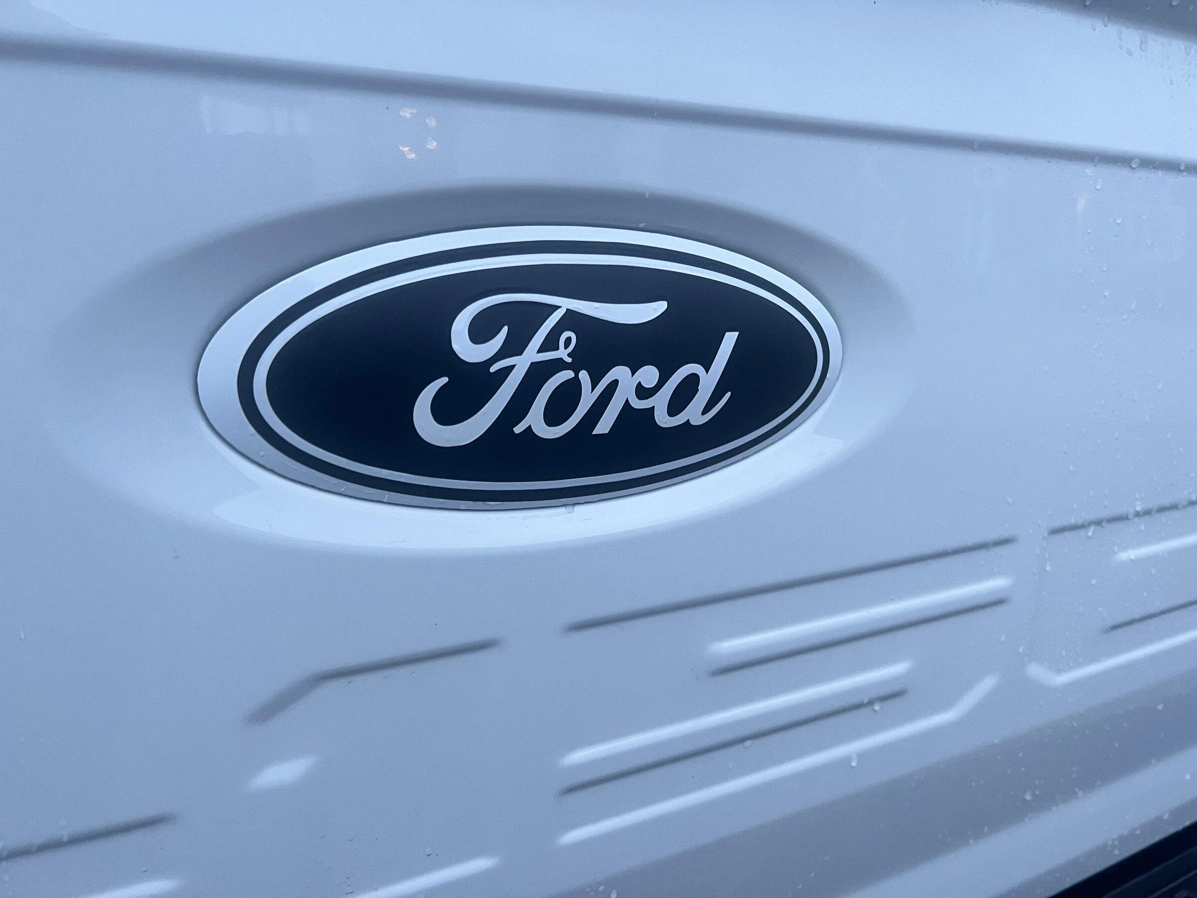 Ford F-150 Emblem overlay - Black/white IMG_1500 2